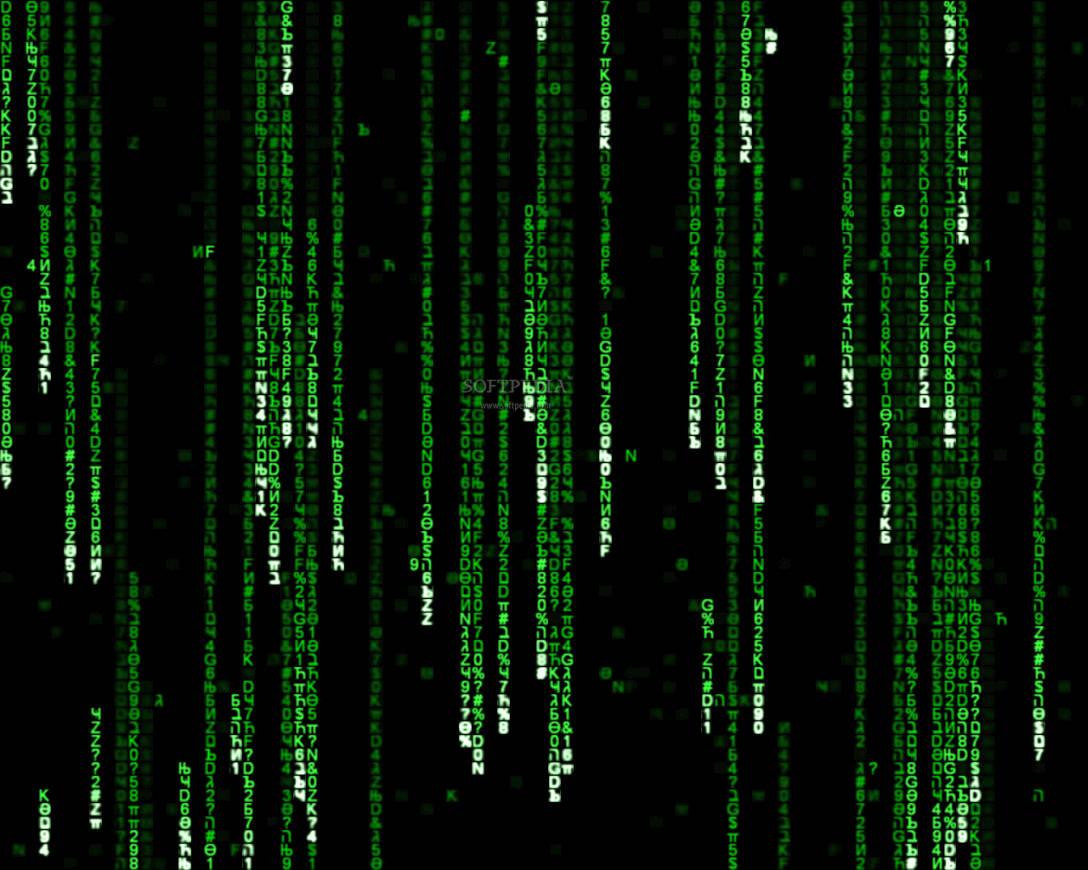 Follow the white rabbit and uncover the secrets of the Matrix — 1088x870 wallpaper