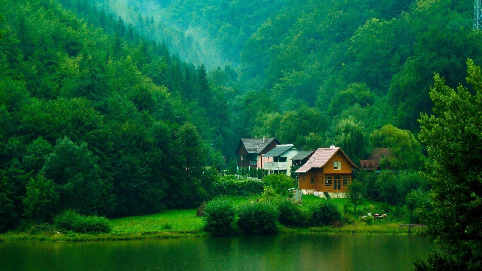 Forest Lake House — 1920x1080 wallpaper