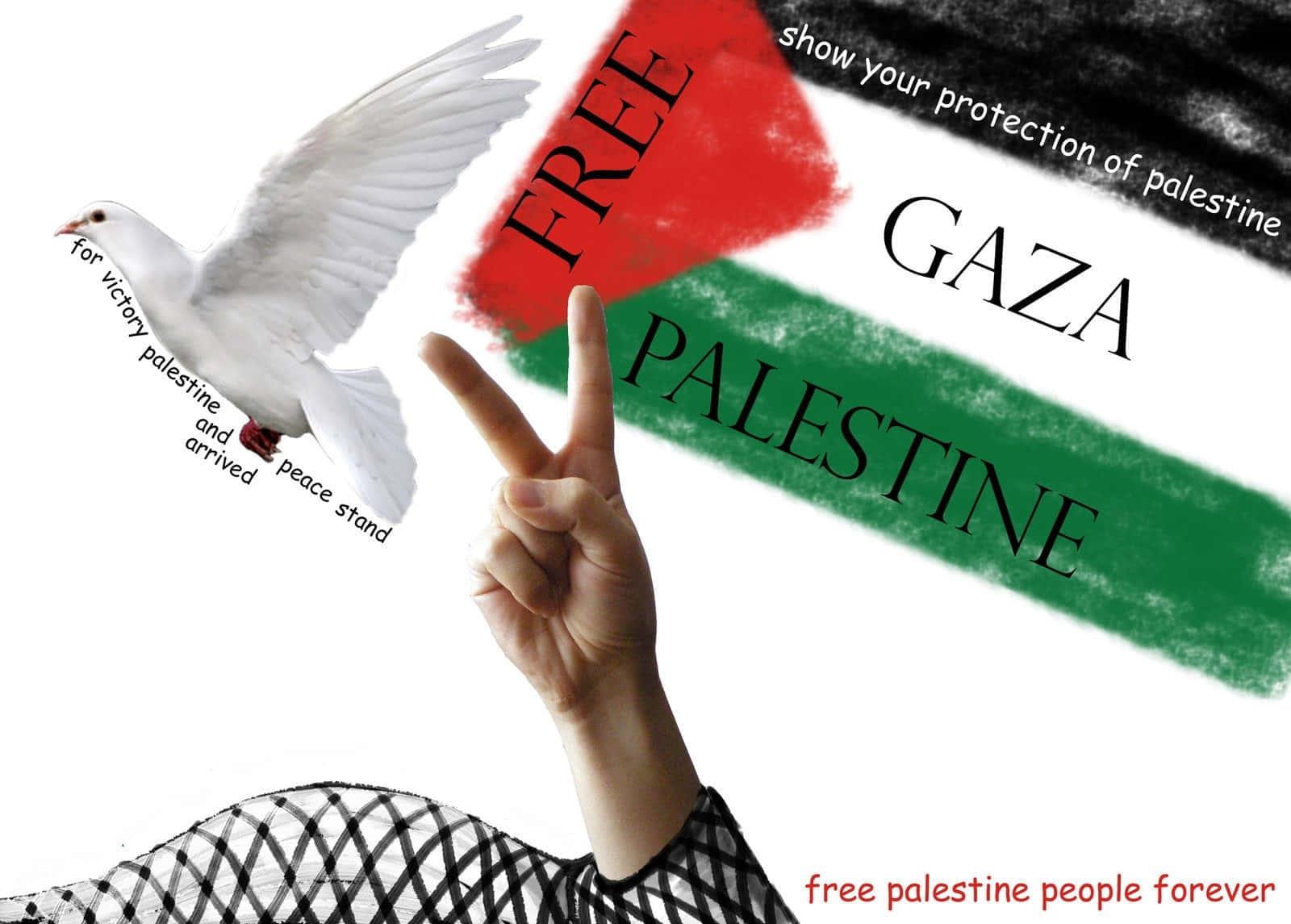 free gaza palestine forever — 1600x1145 wallpaper