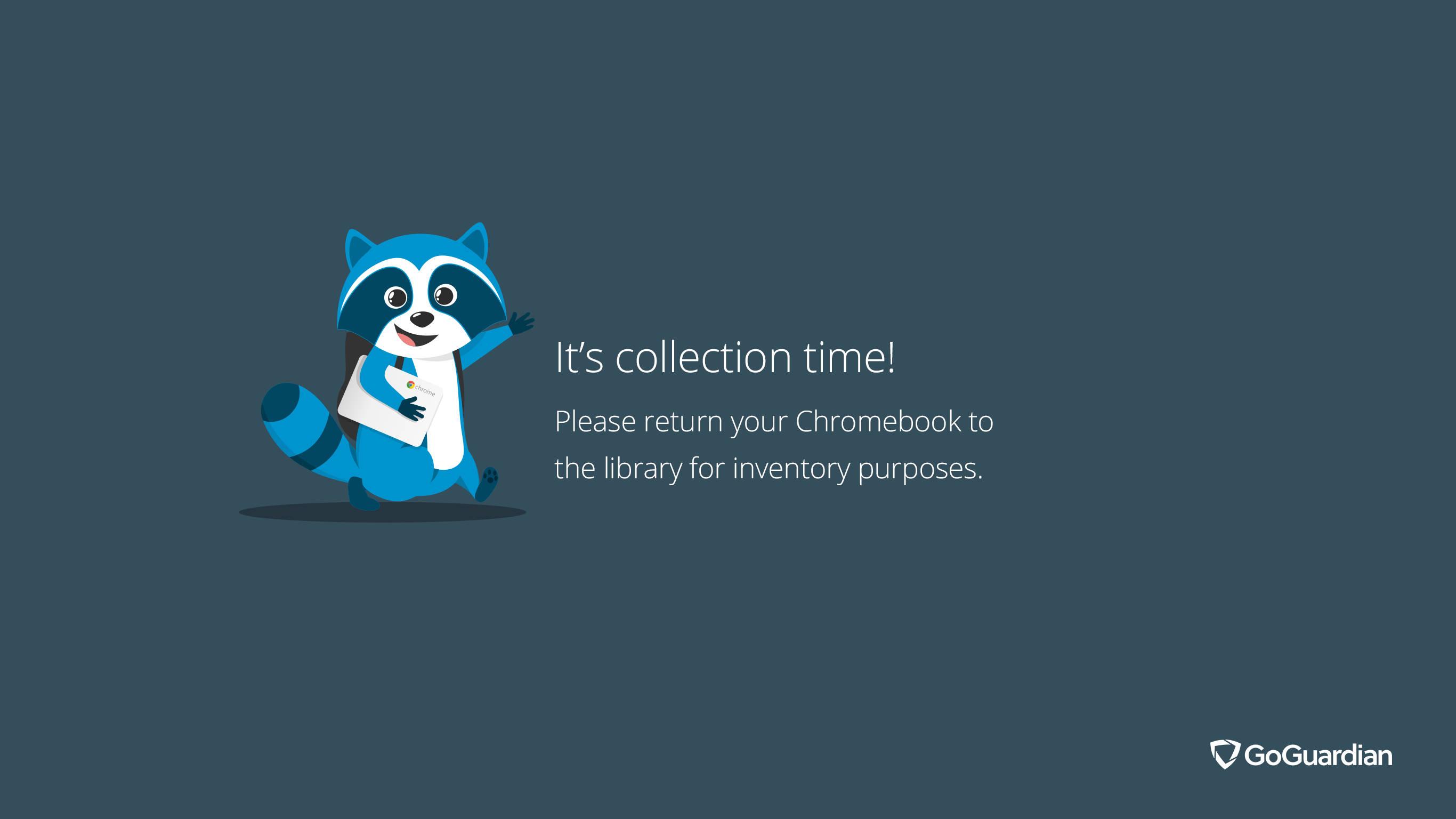 Funky Blue Raccoon Chromebook Design — 2732x1536 wallpaper