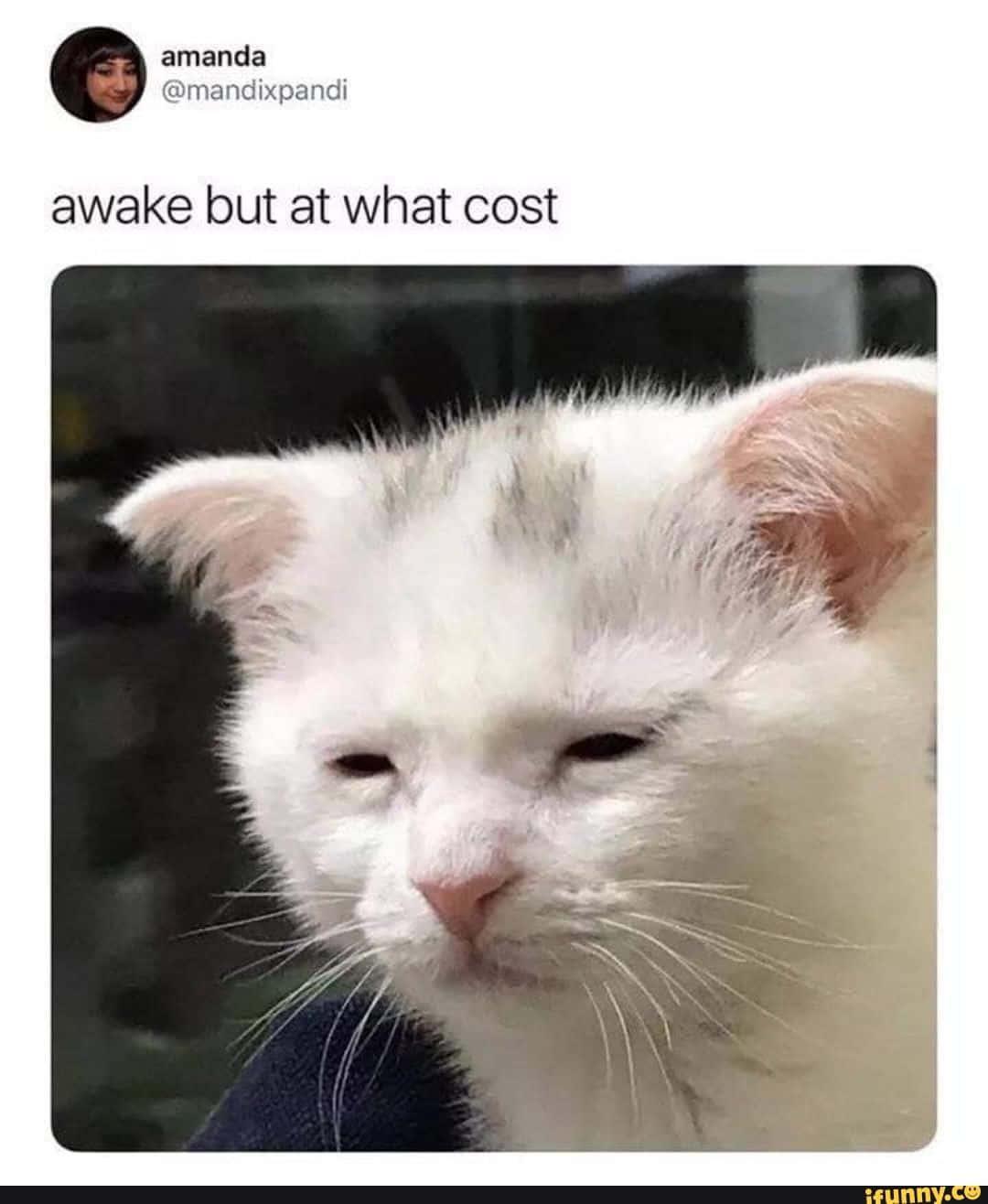 Funny Meme pictures — 1080x1316 wallpaper