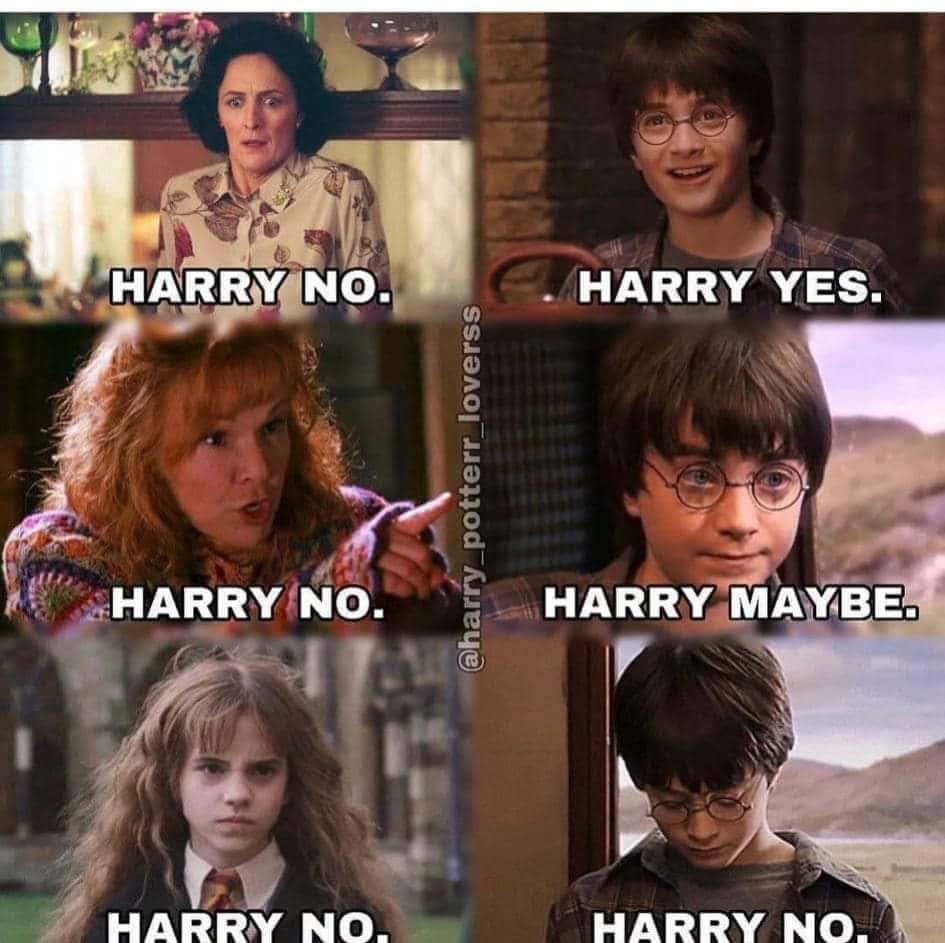 Funny Meme pictures — 945x943 wallpaper