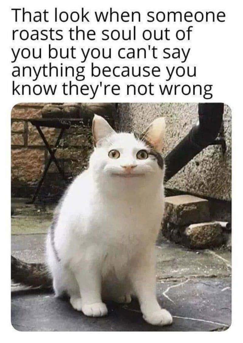 Funny Meme pictures — 800x1126 wallpaper