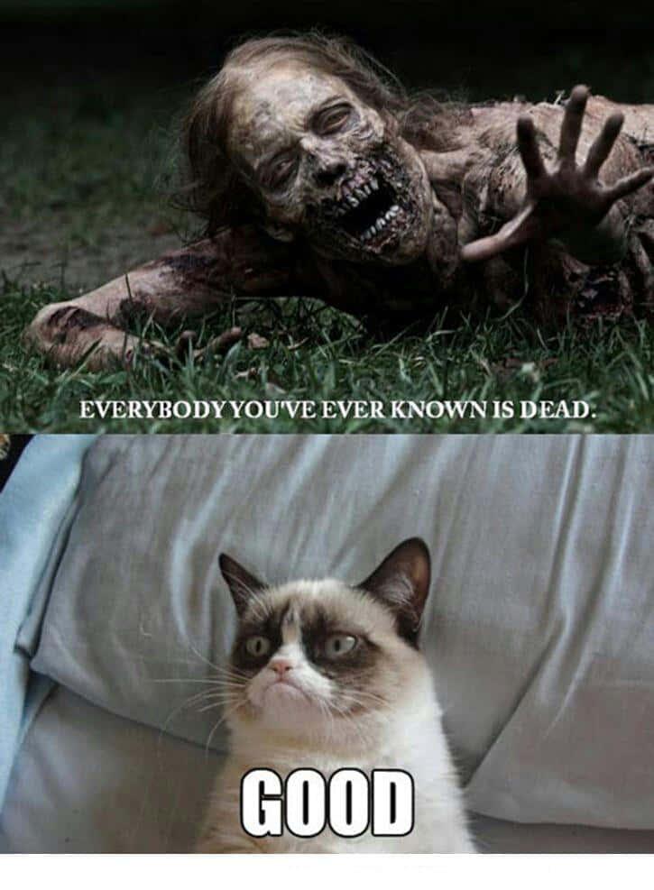 Funny Meme pictures — 725x987 wallpaper