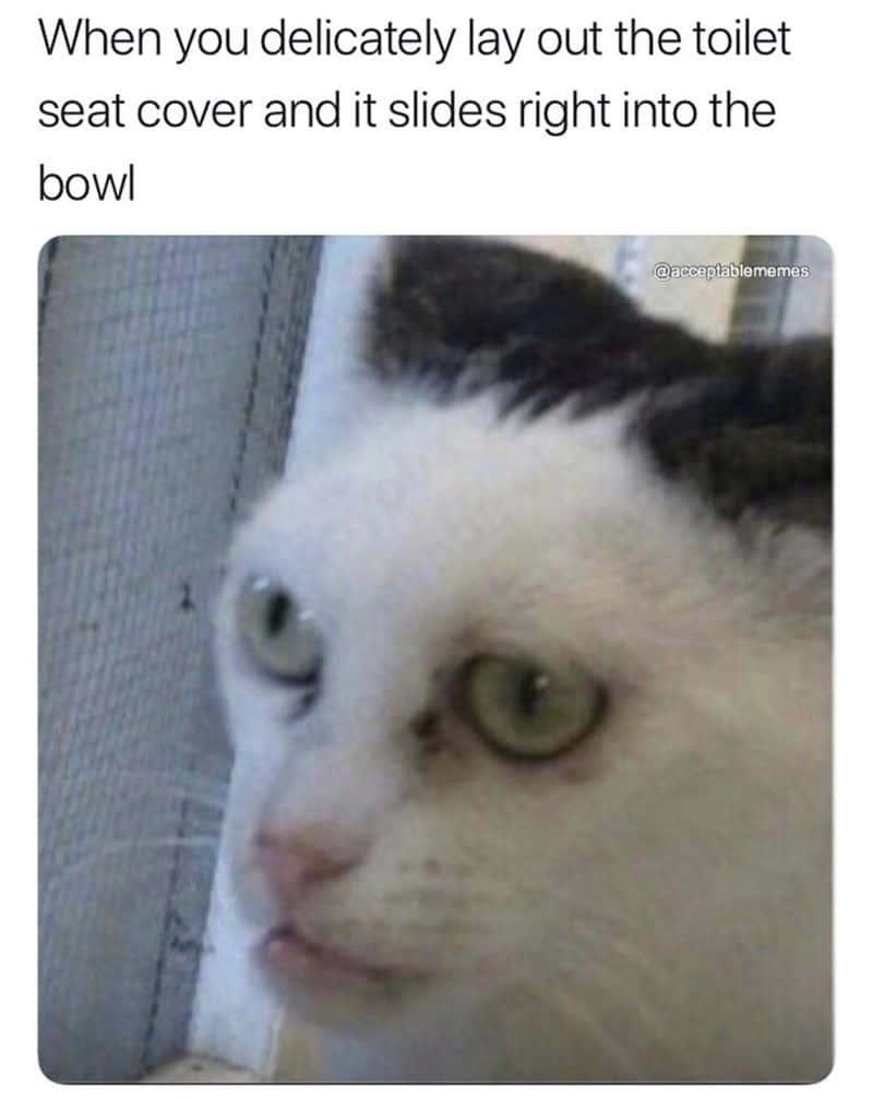 Funny Meme pictures — 800x1007 wallpaper