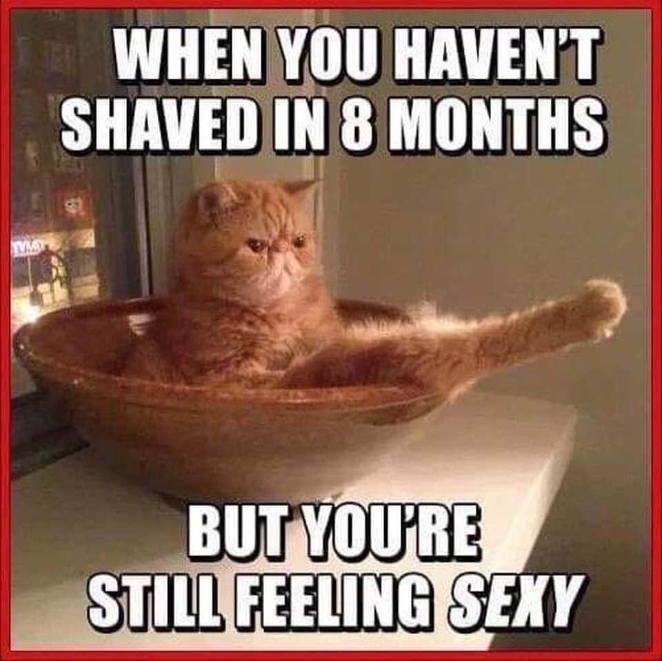 Funny Meme pictures — 960x958 wallpaper