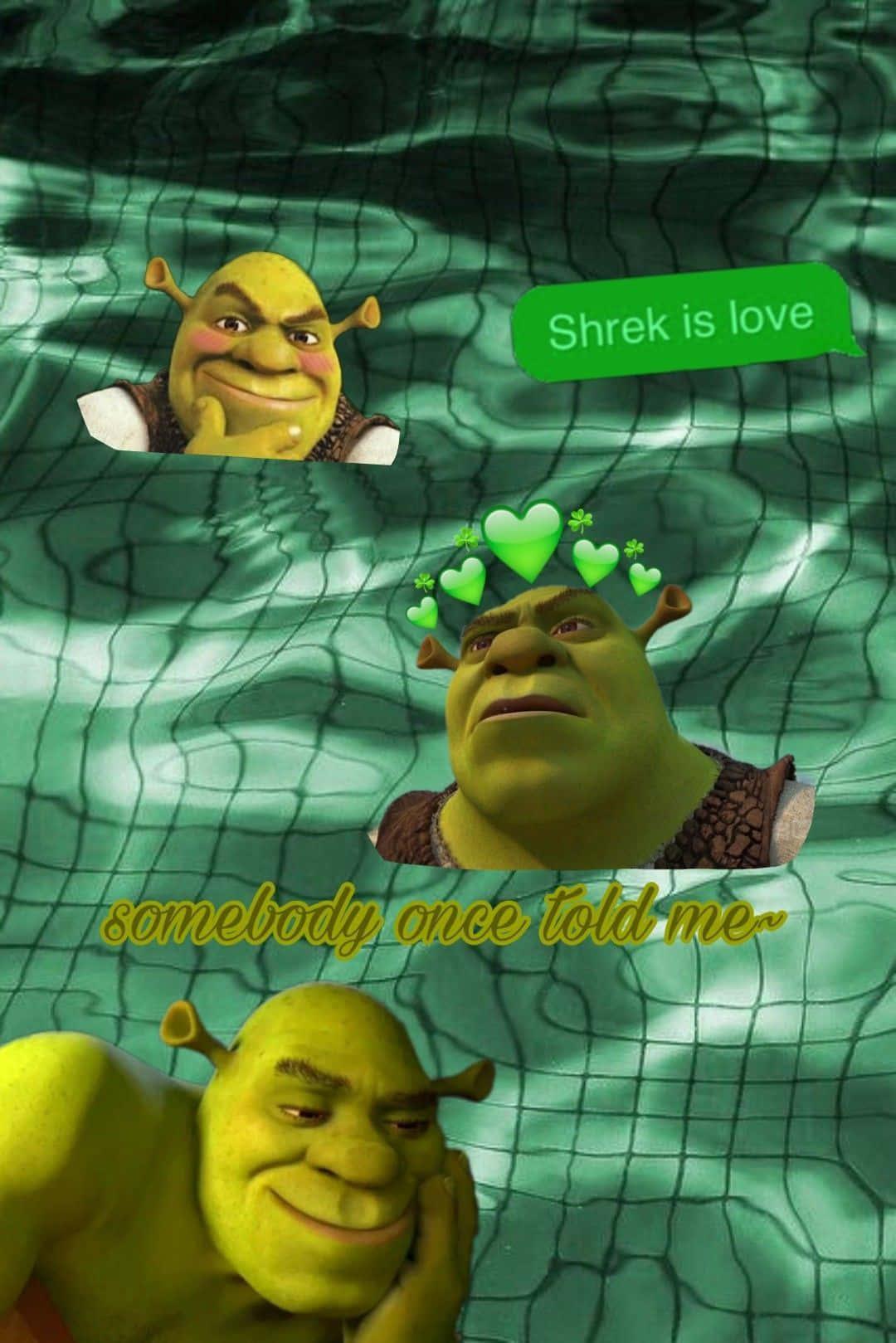 Funny Shrek Is Love Cringe Edit — 1080x1619 wallpaper