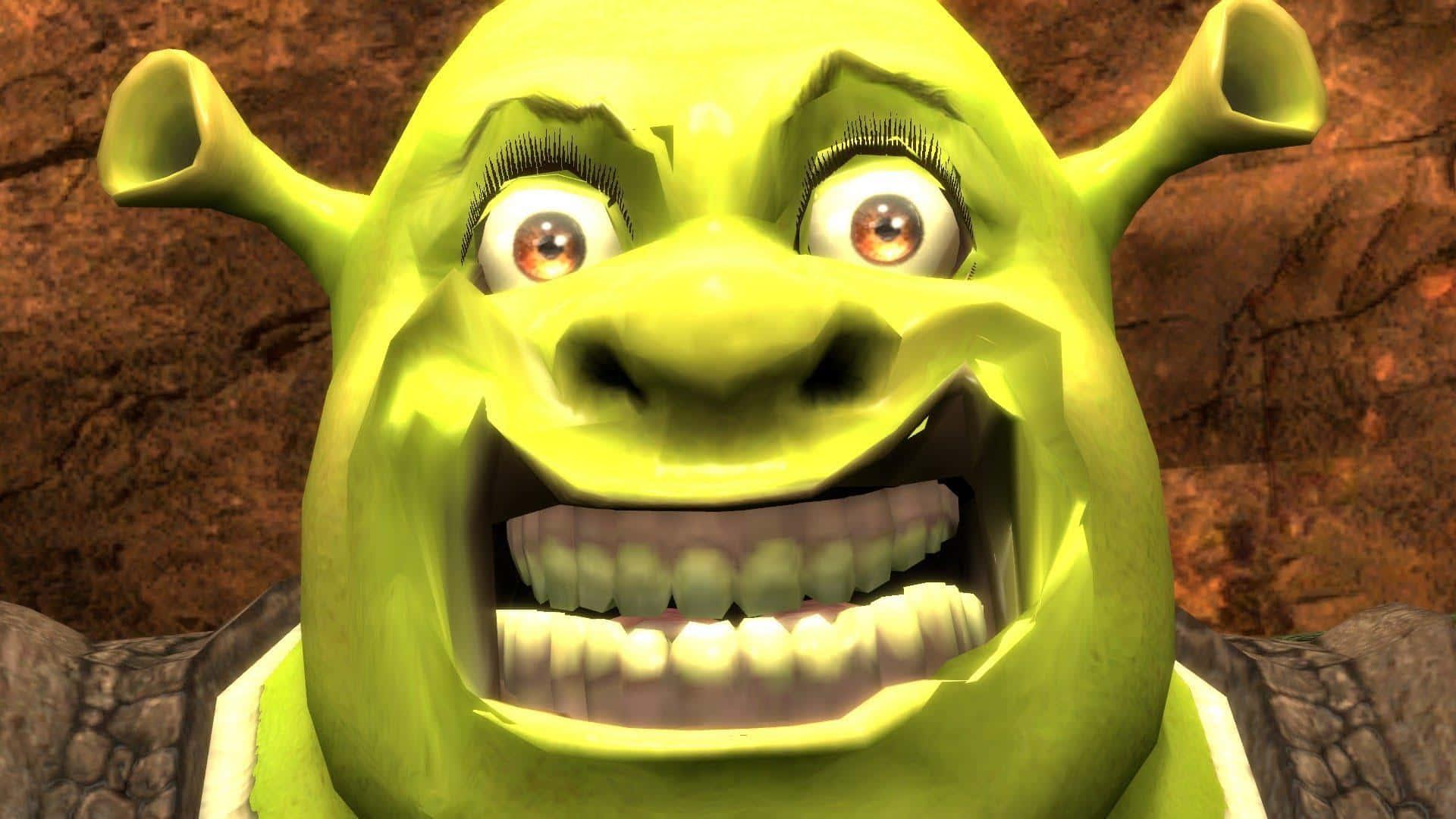 Funny Shrek Outrageous Smile — 1920x1080 wallpaper