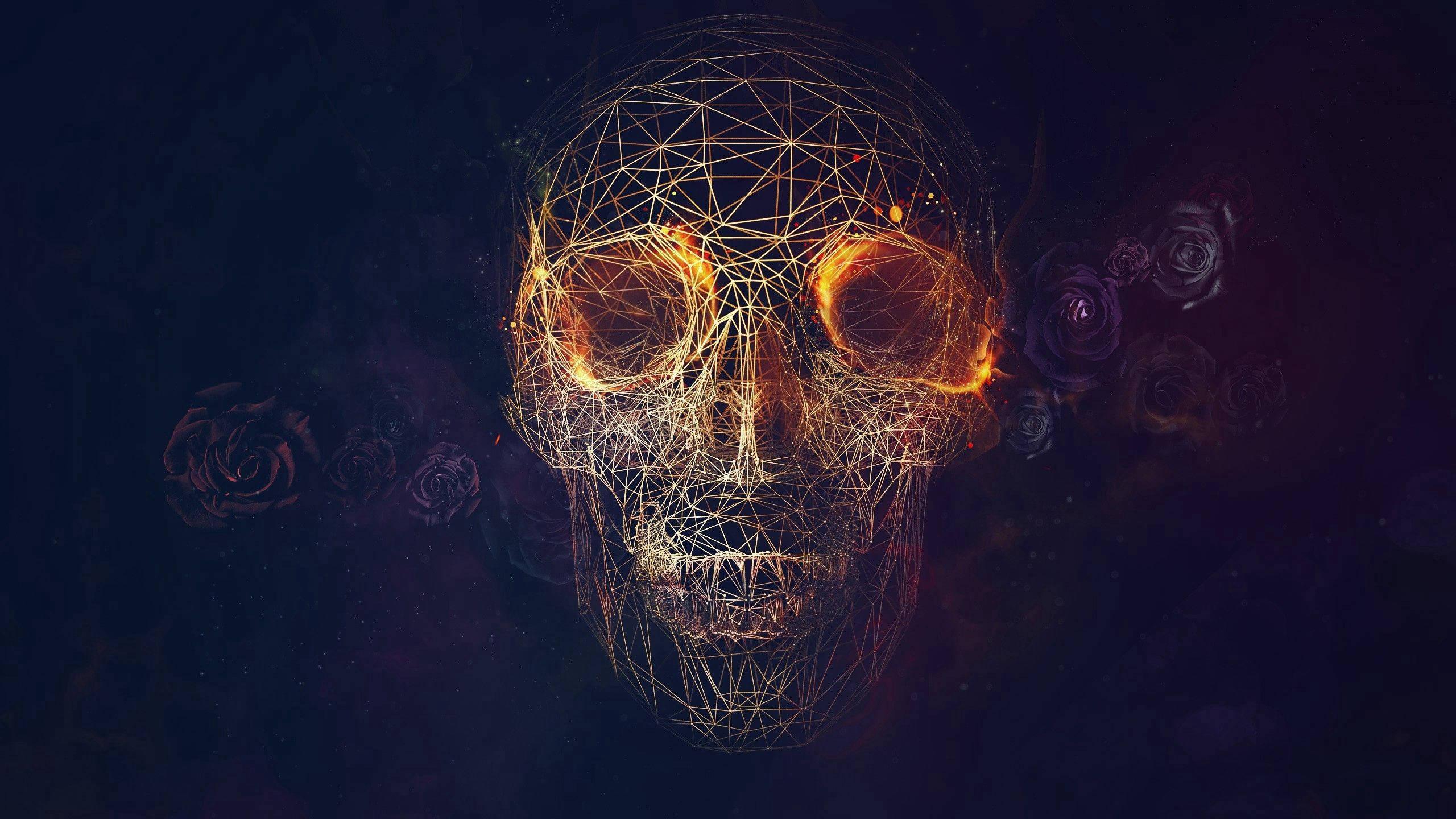 Geometric Skull Illuminated in a Playful Spectrum of Color — 2560x1440 wallpaper
