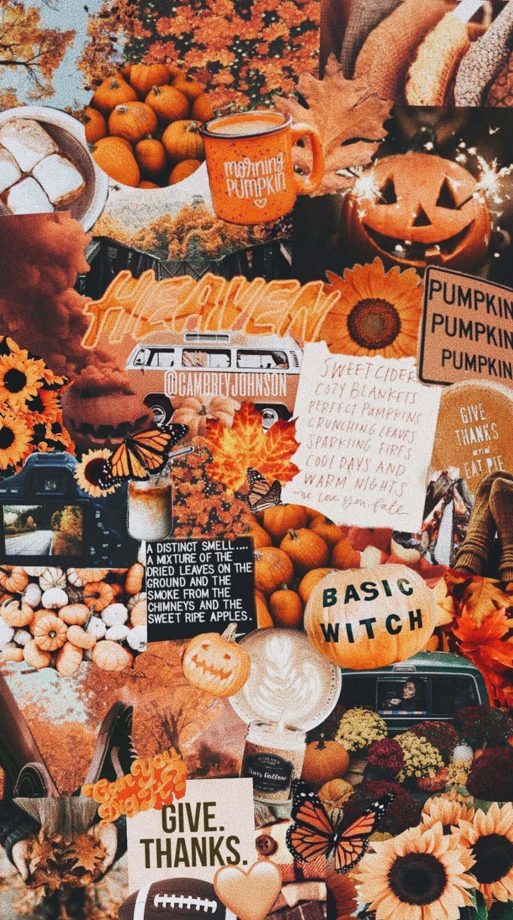 Get in the Fall spirit with this beautiful Fall iPhone background! — 1025x1838 wallpaper