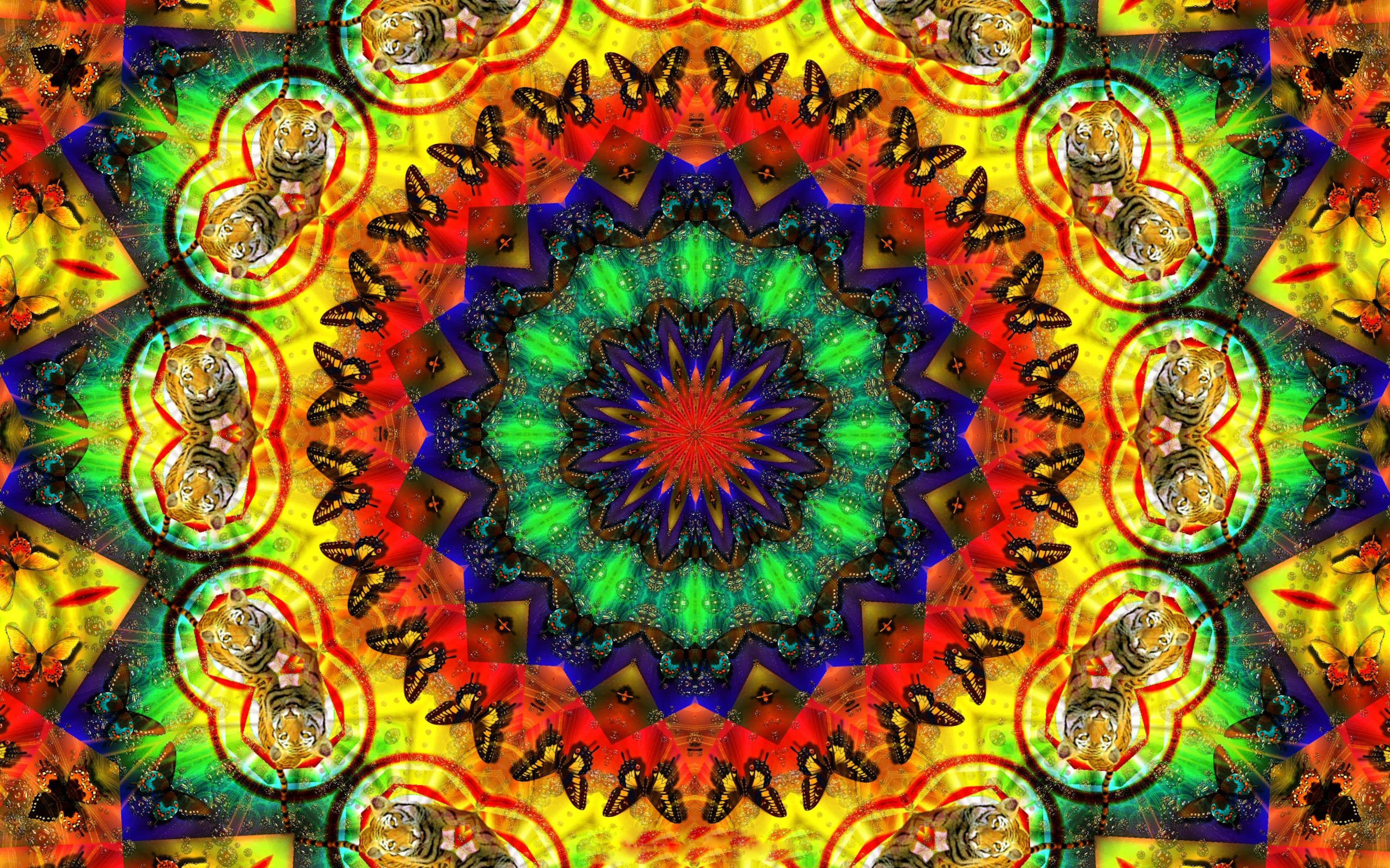 Get lost in the beauty of these delightful trippy shapes — 4000x2500 wallpaper