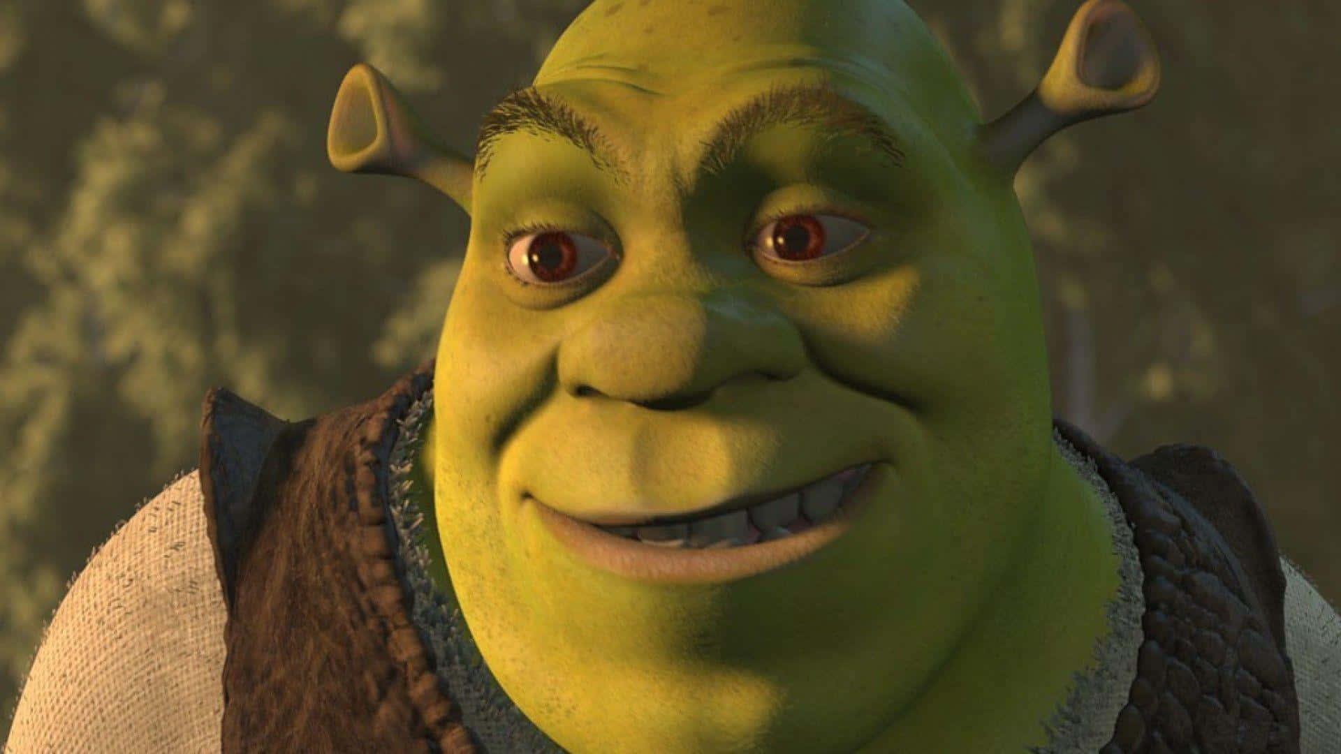 Get Outta My Swamp! — 1920x1080 wallpaper