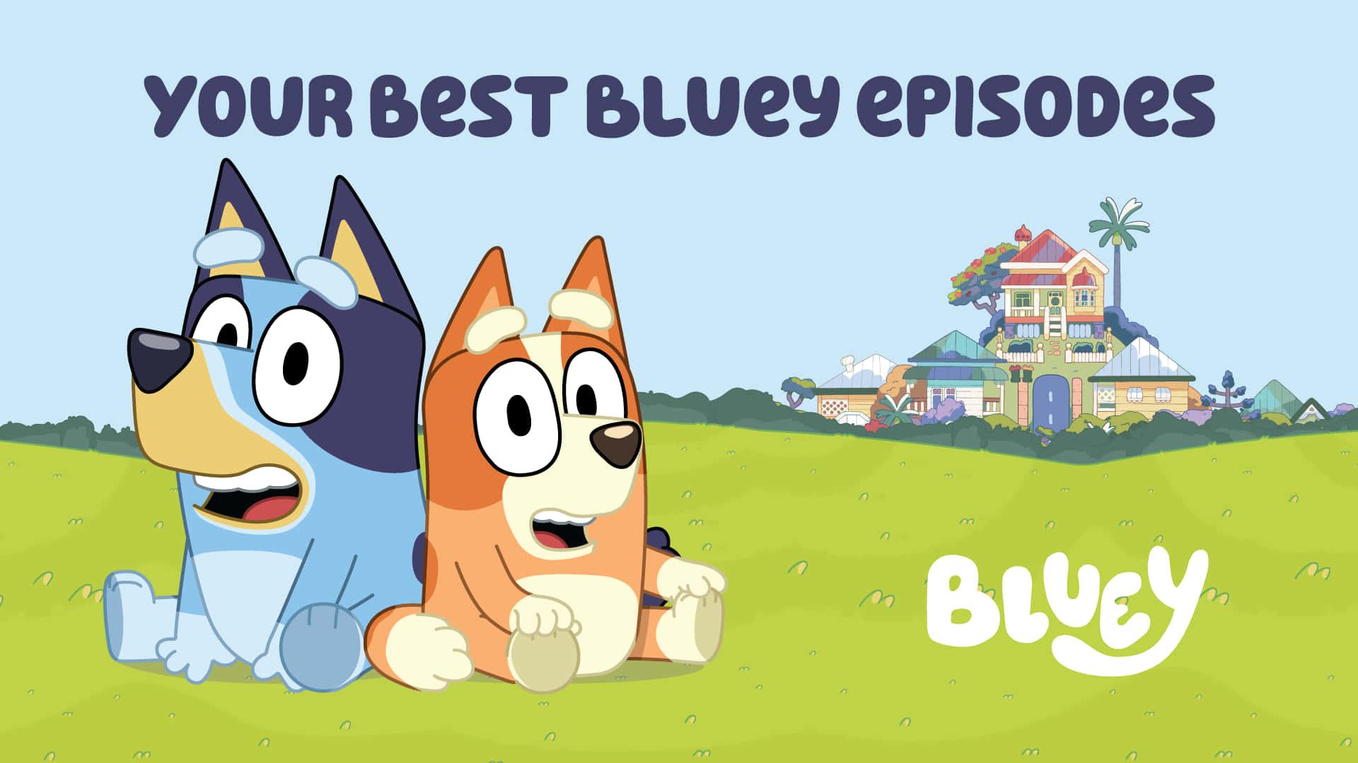 Get your day started with Bluey! — 1920x1080 wallpaper