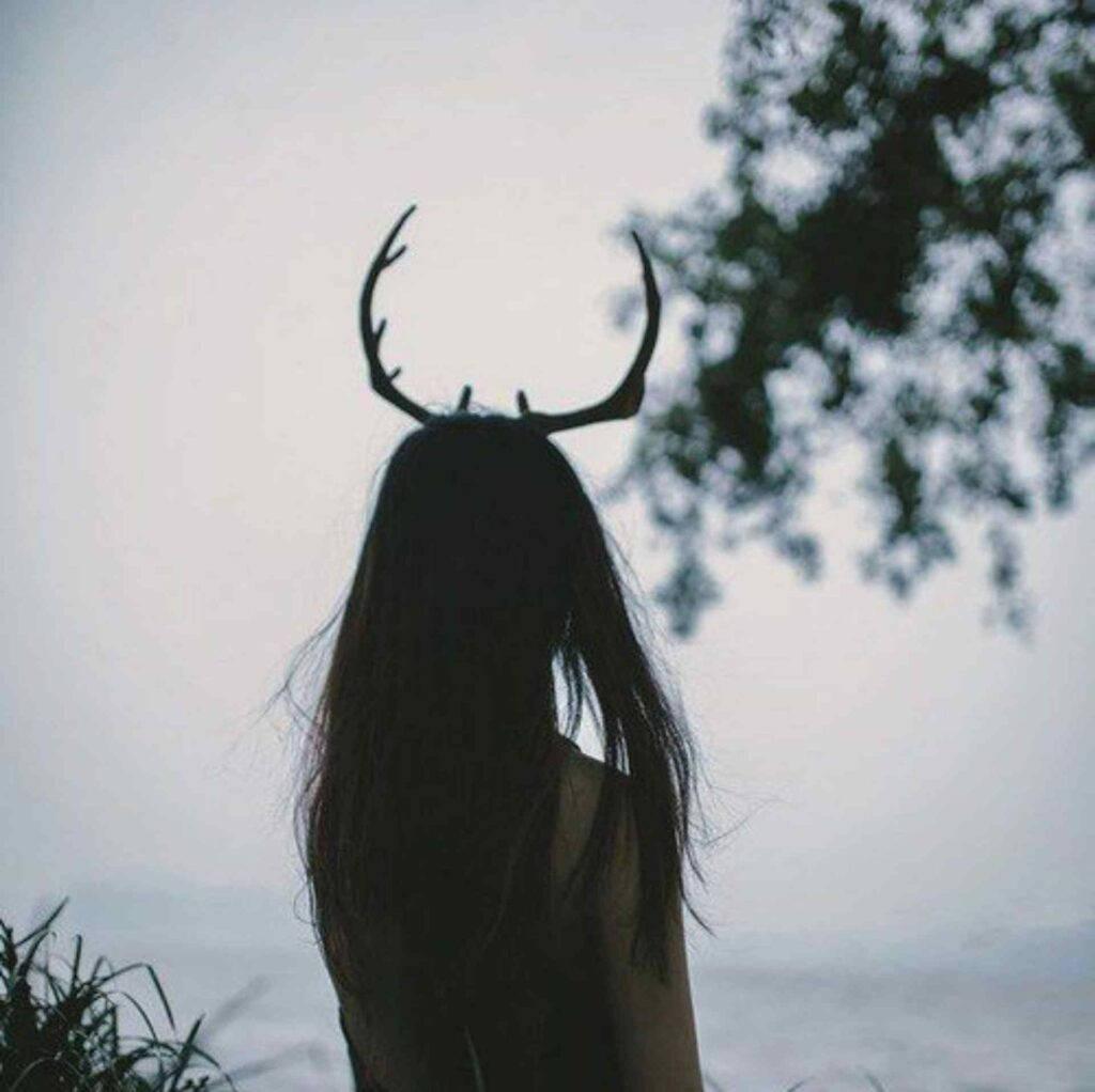 Girl With Antlers PFP Aesthetic — 1024x1022 wallpaper