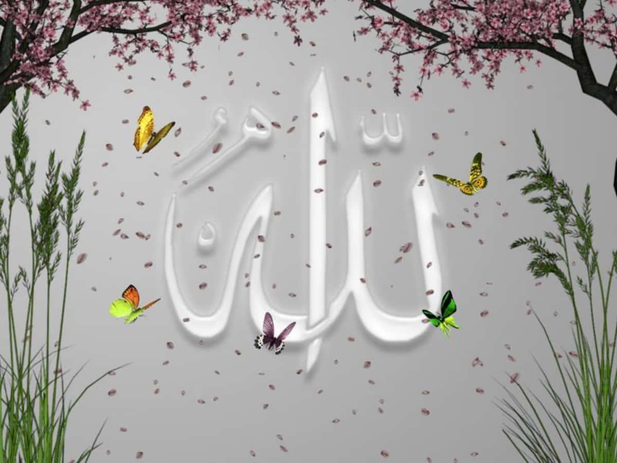 Give Thanks to Lord Allah — 1200x900 wallpaper