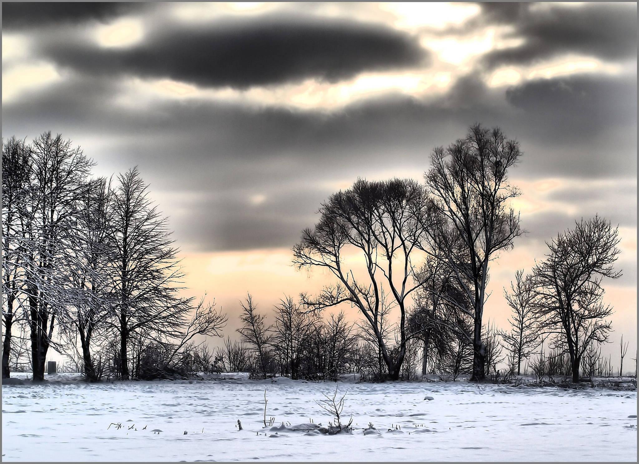 Gloomy Winter - The Beauty Within the Silence — 2048x1487 wallpaper