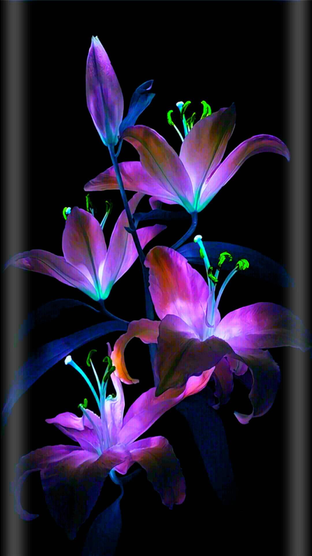 Glowing Lilies Flower Mobile — 1080x1920 wallpaper