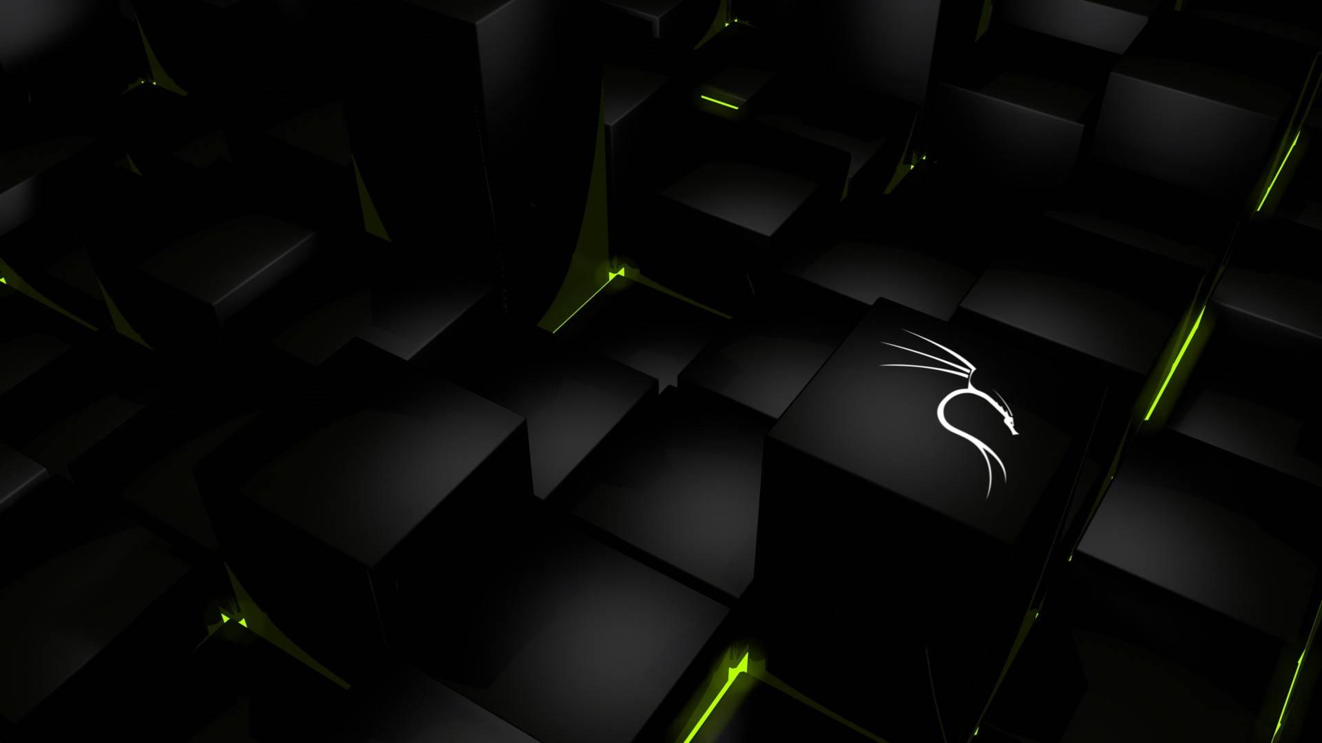 Glowing White Dragon Kali Linux — 1920x1080 wallpaper