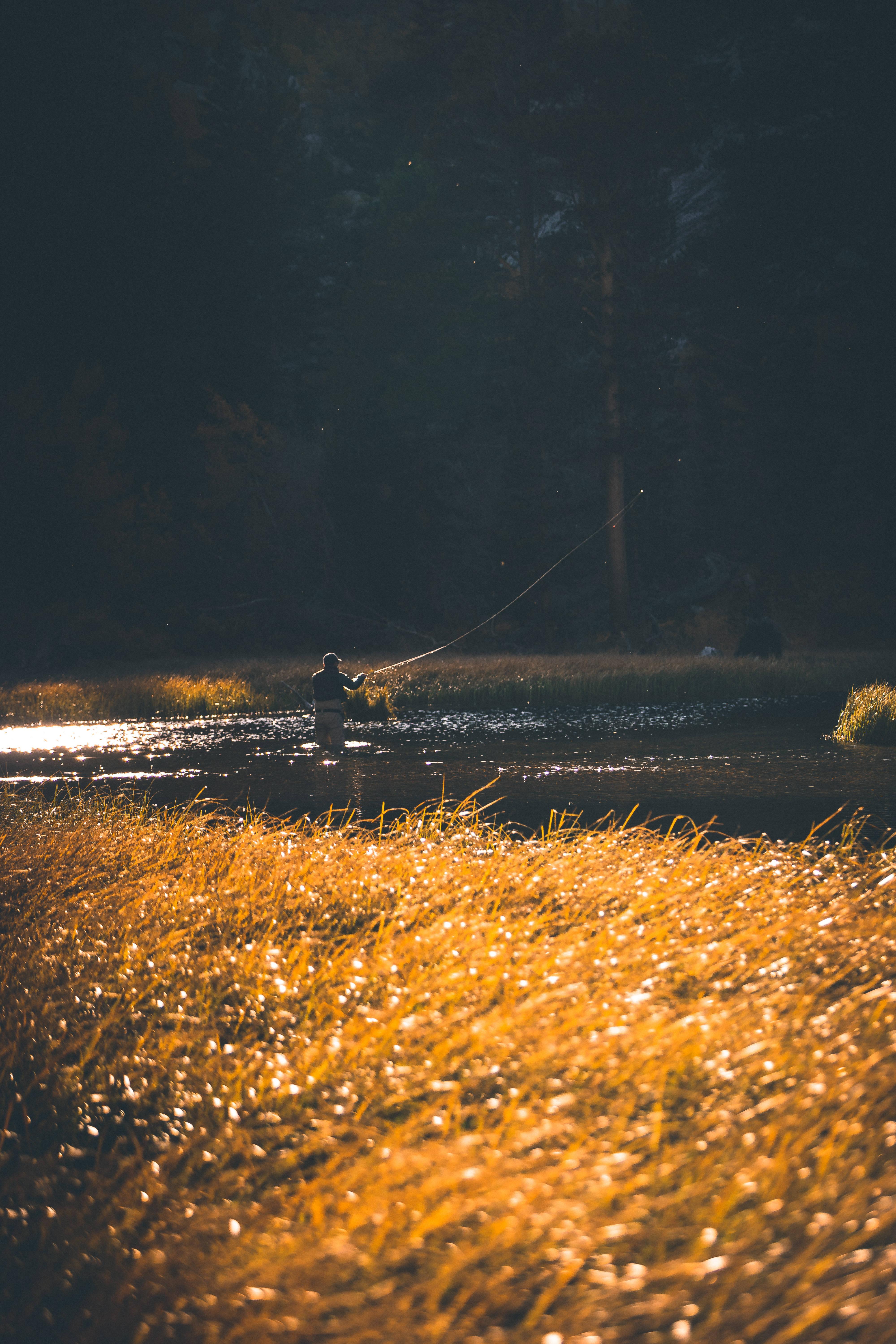 Going solo for a fishing excursion in a clear mountain stream. — 4000x6000 wallpaper