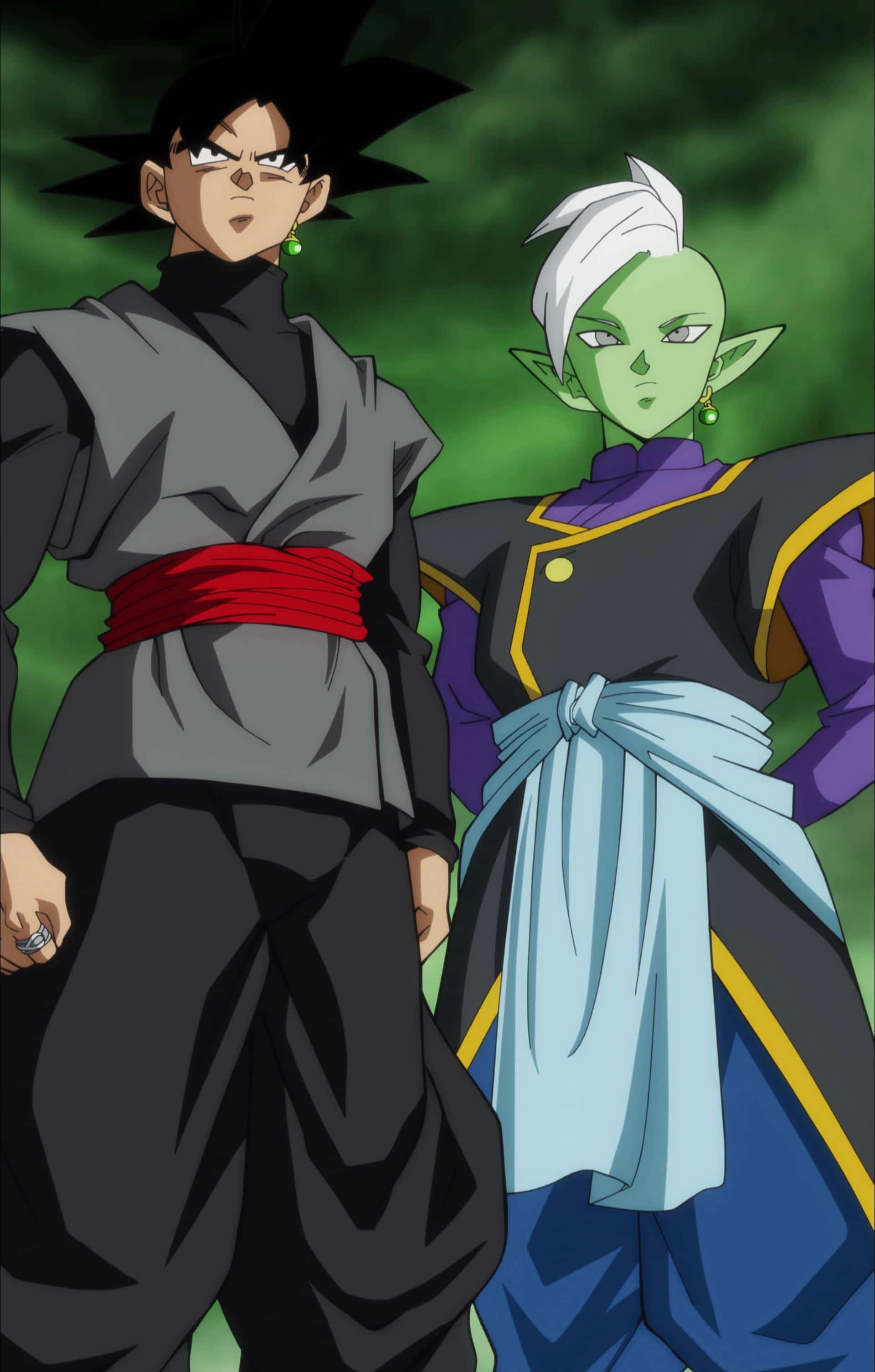 Goku And Zamasu Dragon Ball Super Picture — 1920x3010 wallpaper