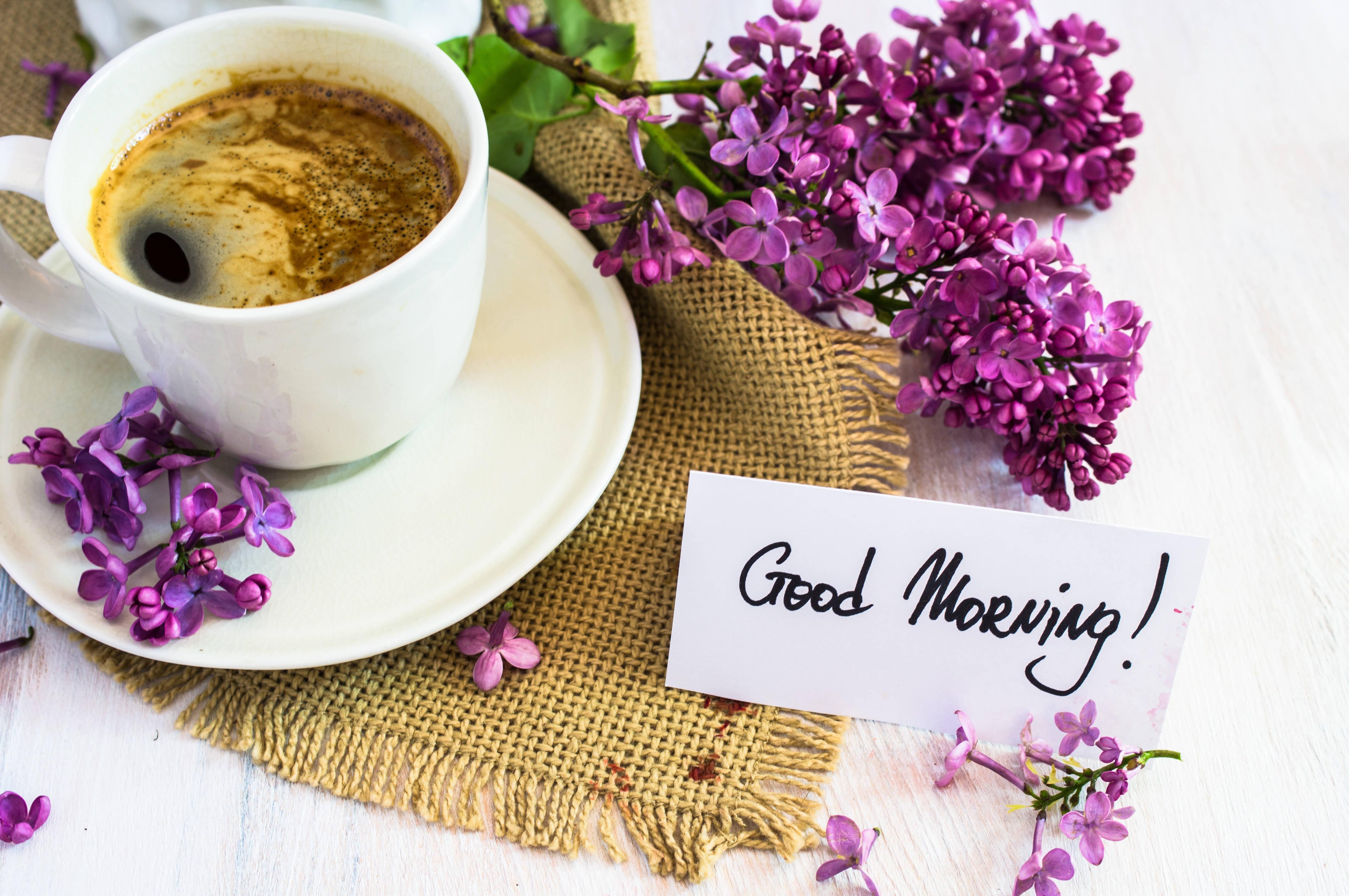 Good Morning Coffee Cup With Lilac — 4912x3264 wallpaper