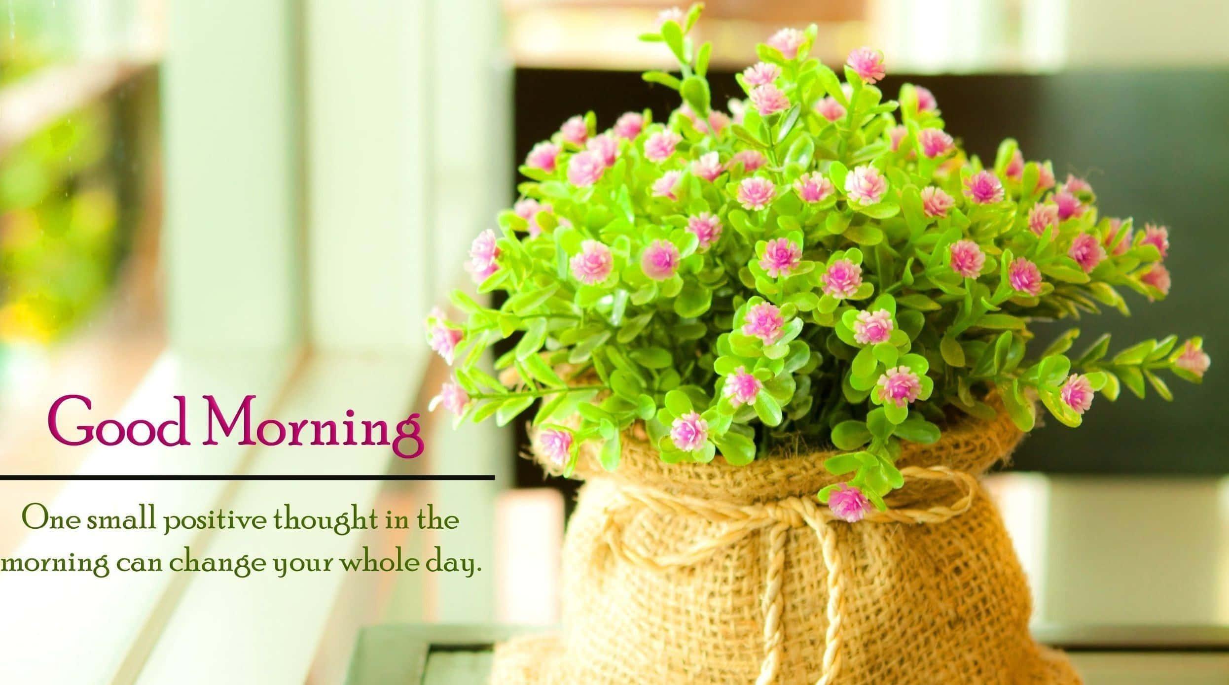 Good Morning Flower Decoration Picture — 2492x1390 wallpaper