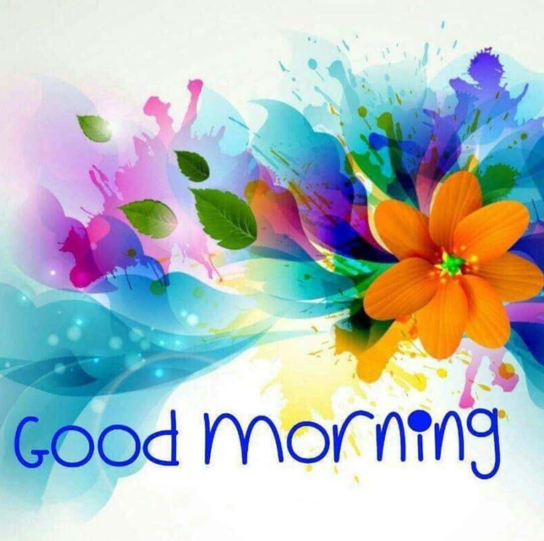 Good Morning Flower Painting Picture — 1074x1068 wallpaper