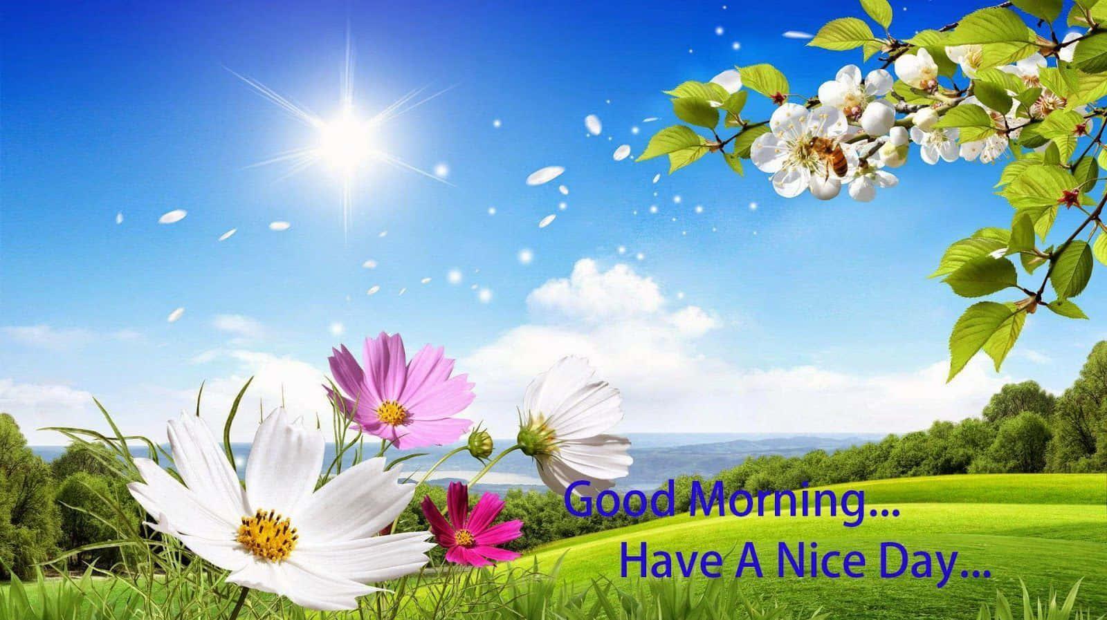 good morning have a nice day — 1600x897 wallpaper