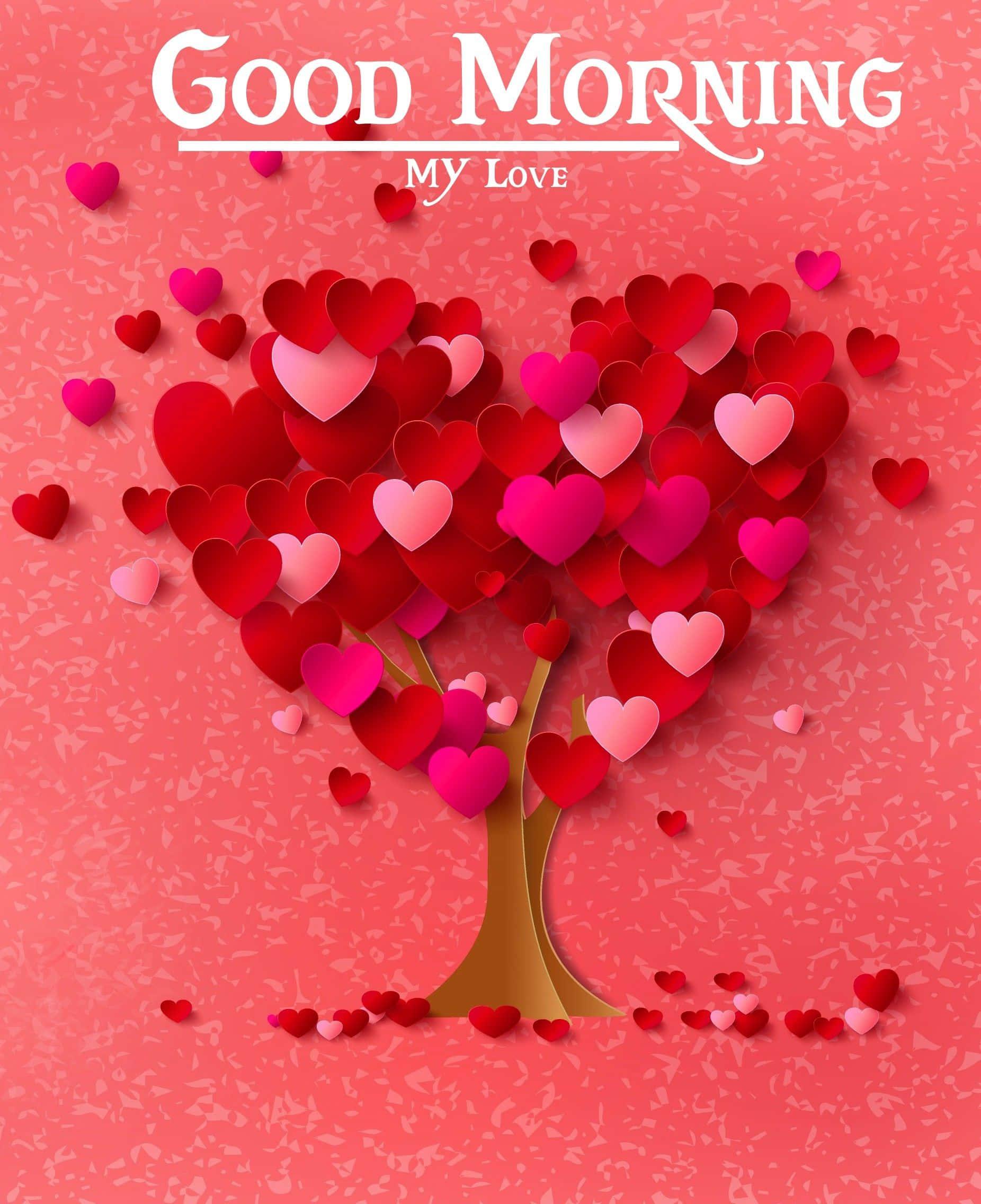 Good Morning My Love Picture — 1852x2272 wallpaper