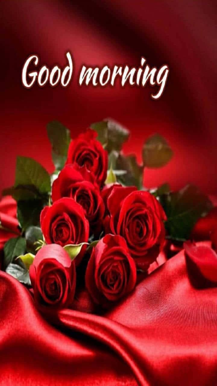 Good Morning Roses On Satin Picture — 720x1280 wallpaper