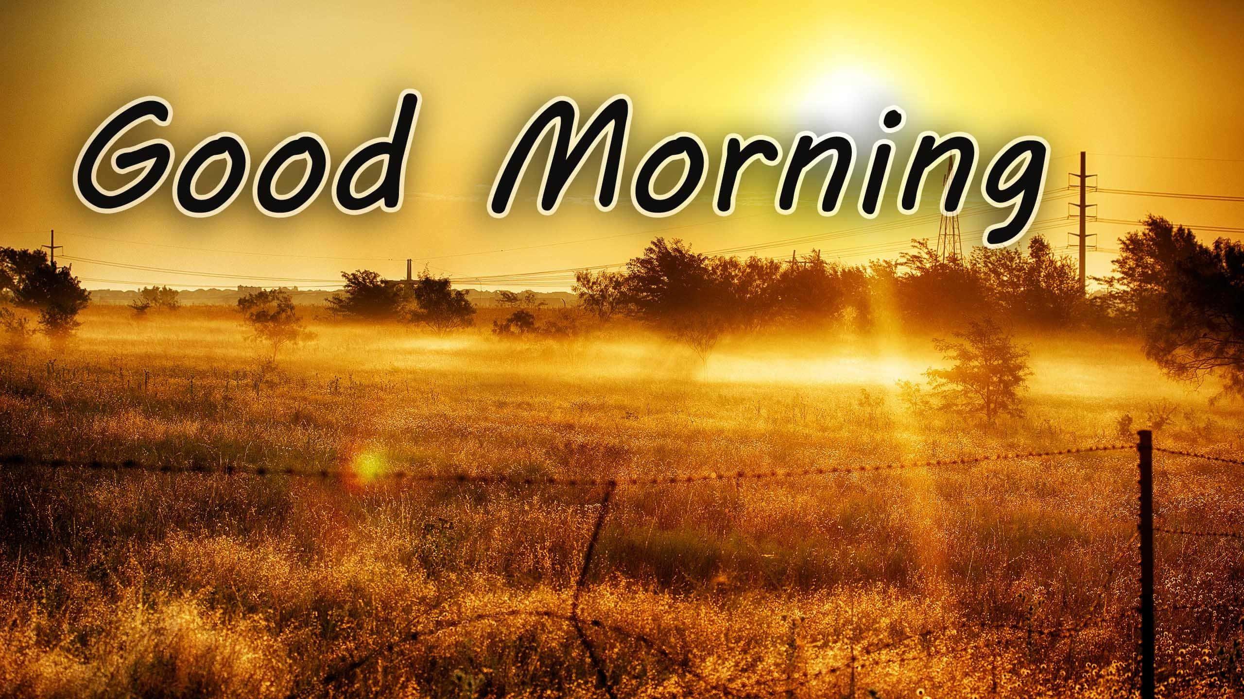 Good morning! Start your day off right. — 2560x1440 wallpaper