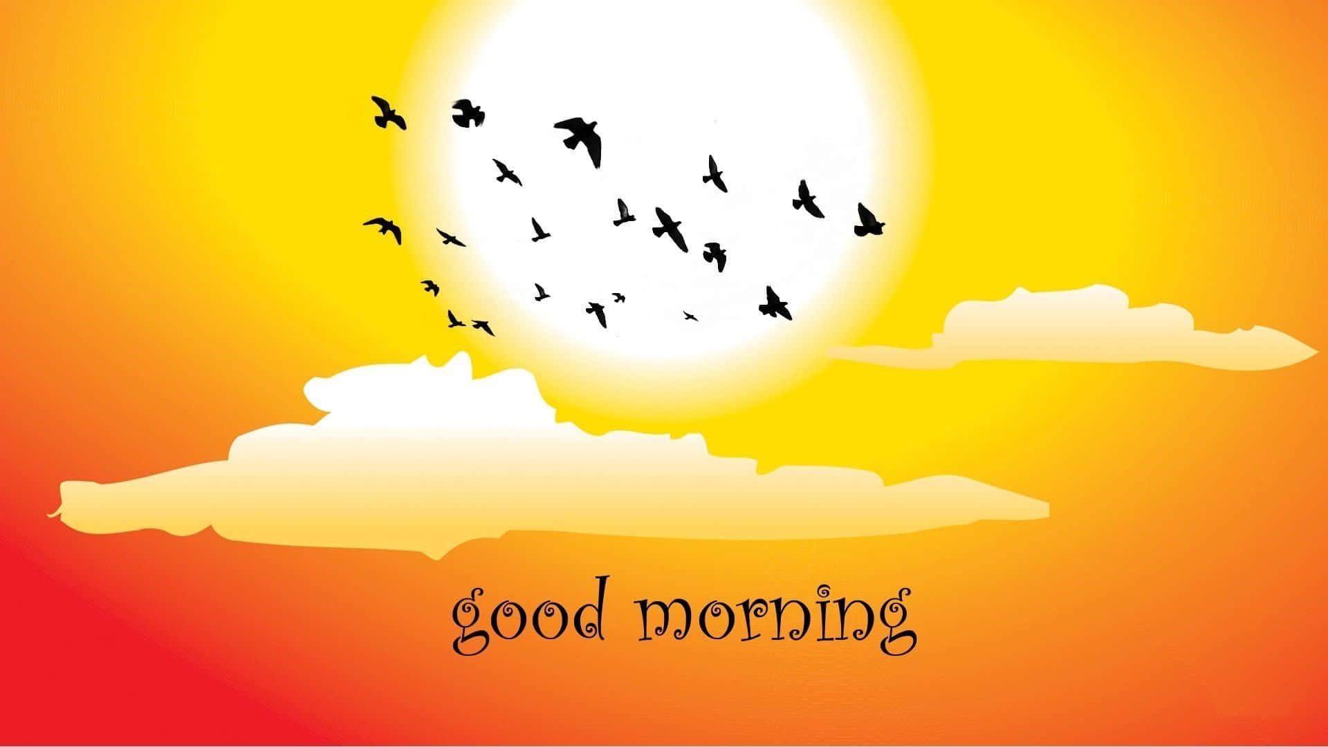 Good Morning Sunny Day Picture — 1920x1081 wallpaper
