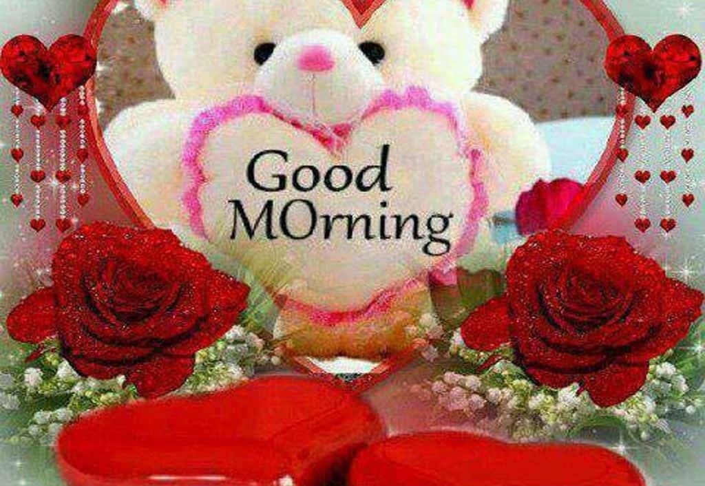 Good Morning Teddy Bear Gift Picture — 1024x706 wallpaper