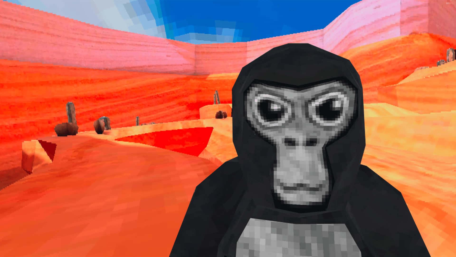 Gorilla Tag Portrait In The Canyon — 1920x1080 wallpaper