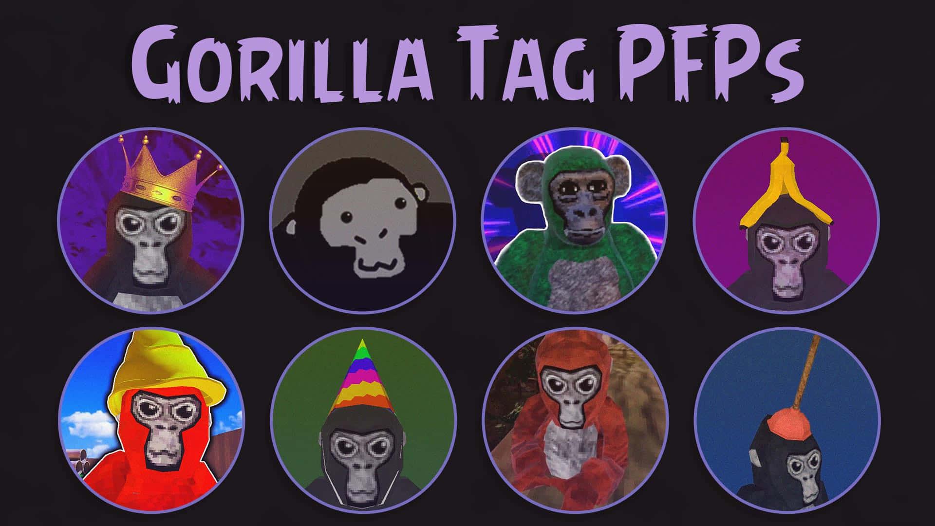 Gorilla Tag Round Profile Photos — 1920x1080 wallpaper
