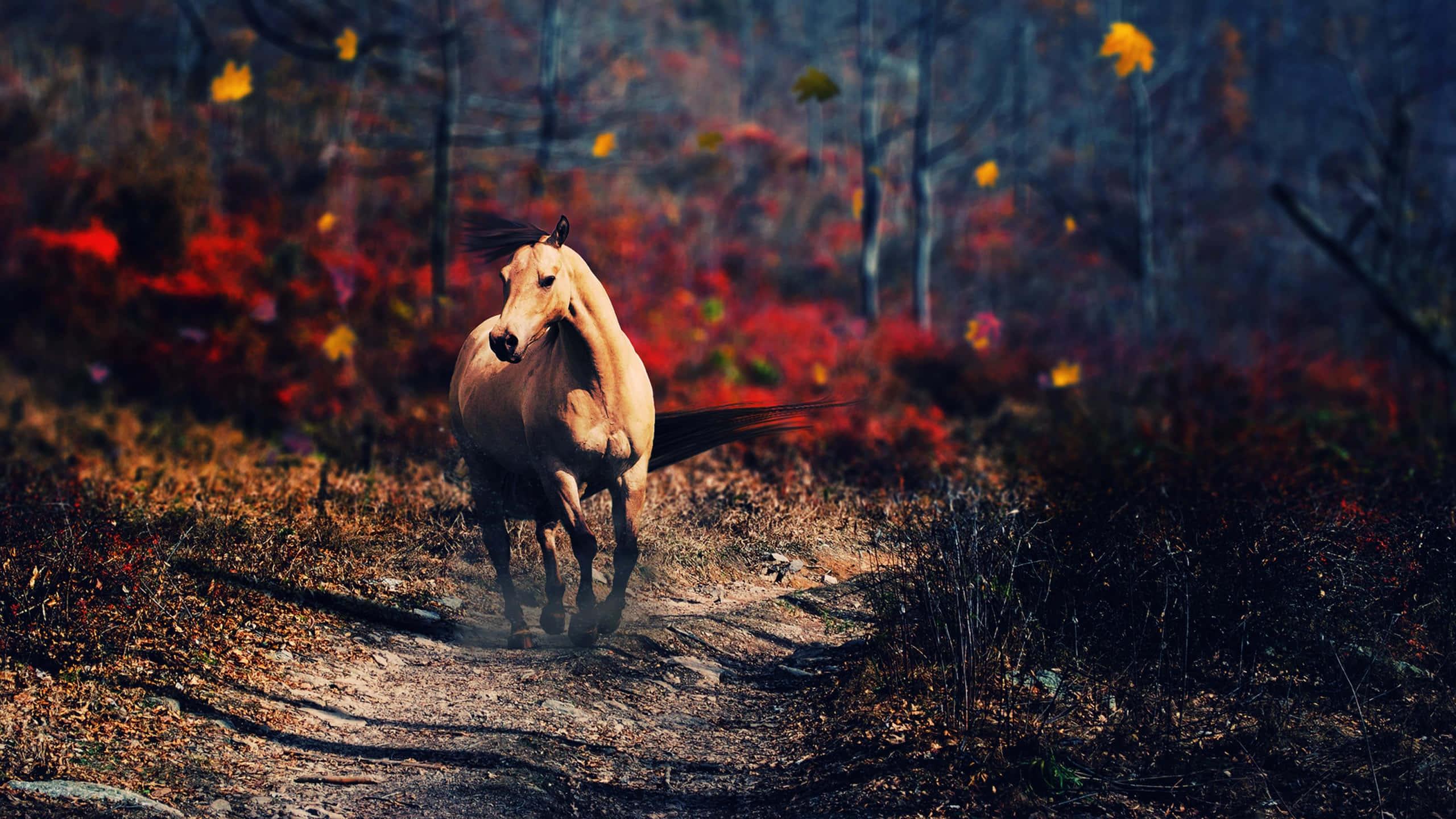"Graceful and Elegant Horse in its Natural Habitat". — 2560x1440 wallpaper