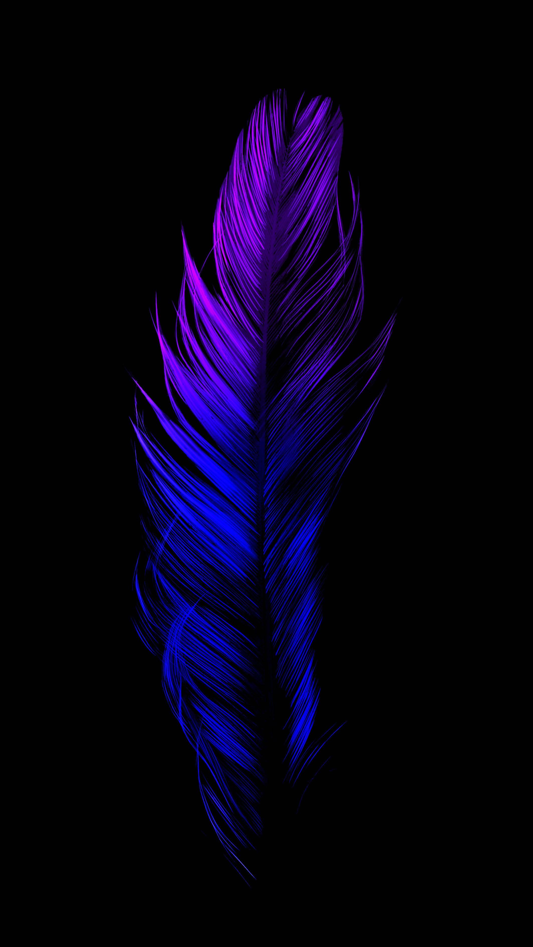 Gradient Blue Purple Feather Samsung Full HD — 2126x3778 wallpaper