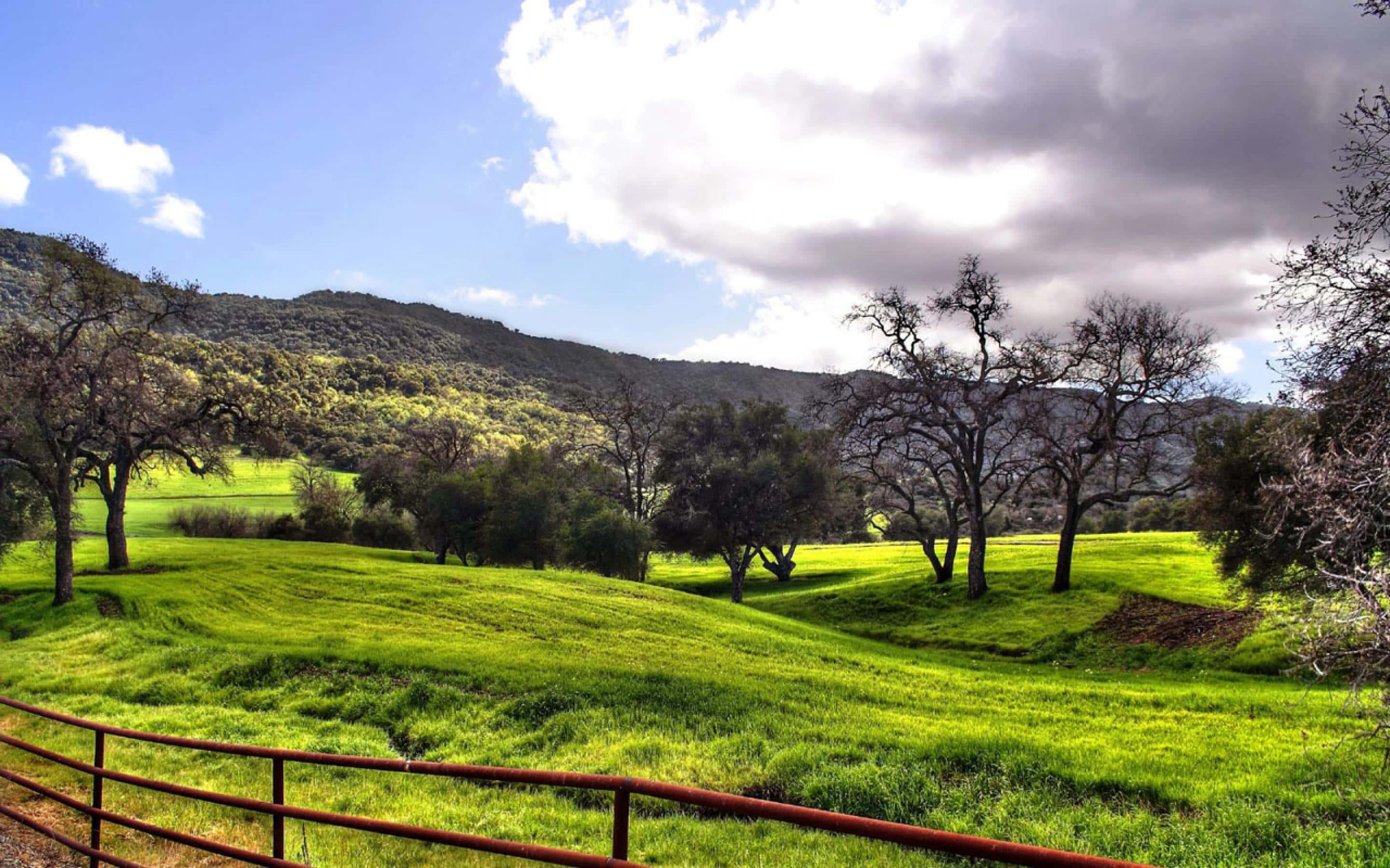 Grass Field With Fence Landscape Picture — 2880x1800 wallpaper