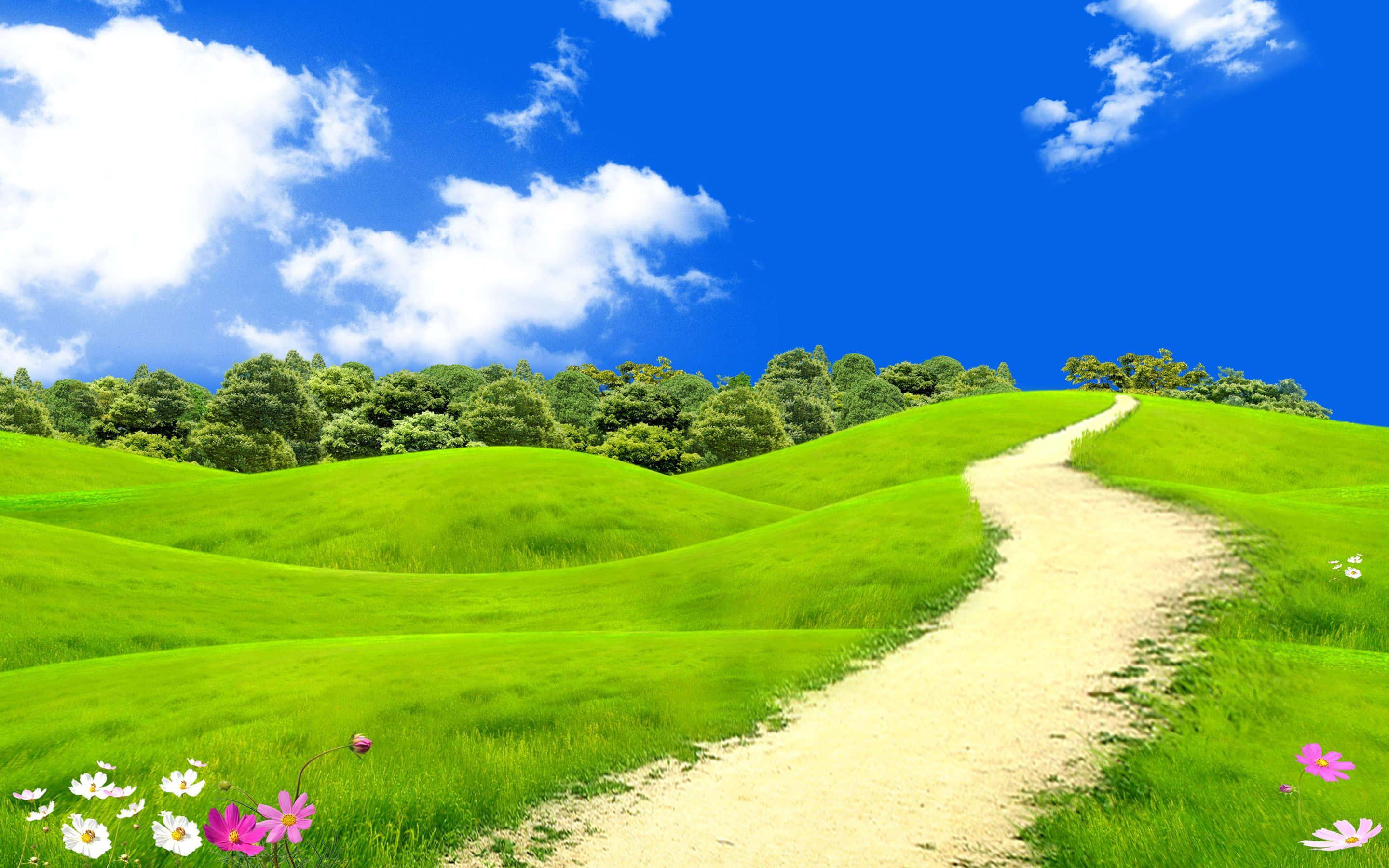 Grass Road With Flowers Landscape Picture — 2880x1800 wallpaper