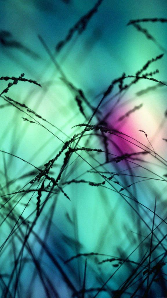 Grass Silhouette Iphone Live — 576x1024 wallpaper
