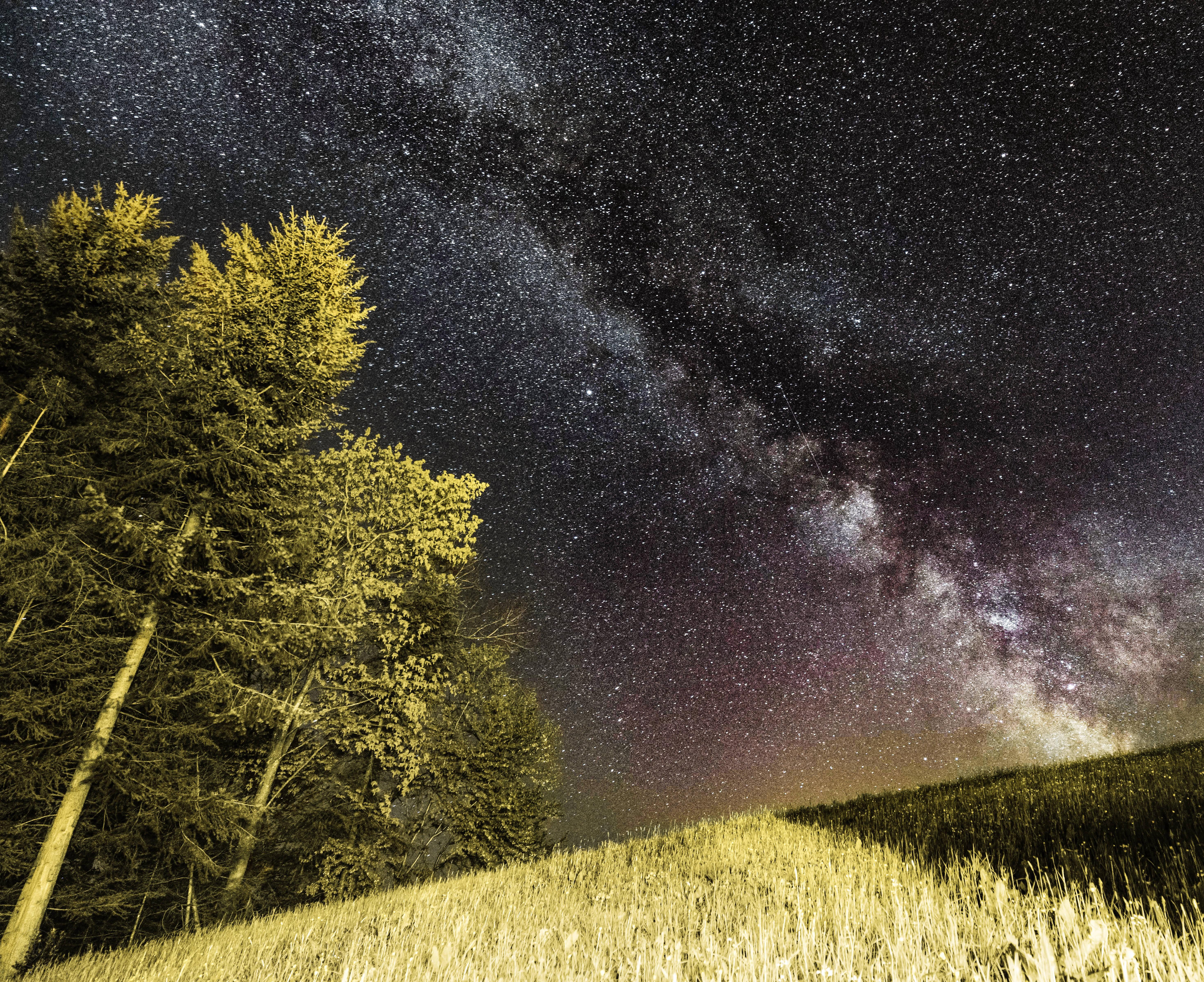 Green Forest 4k Space — 5879x4798 wallpaper