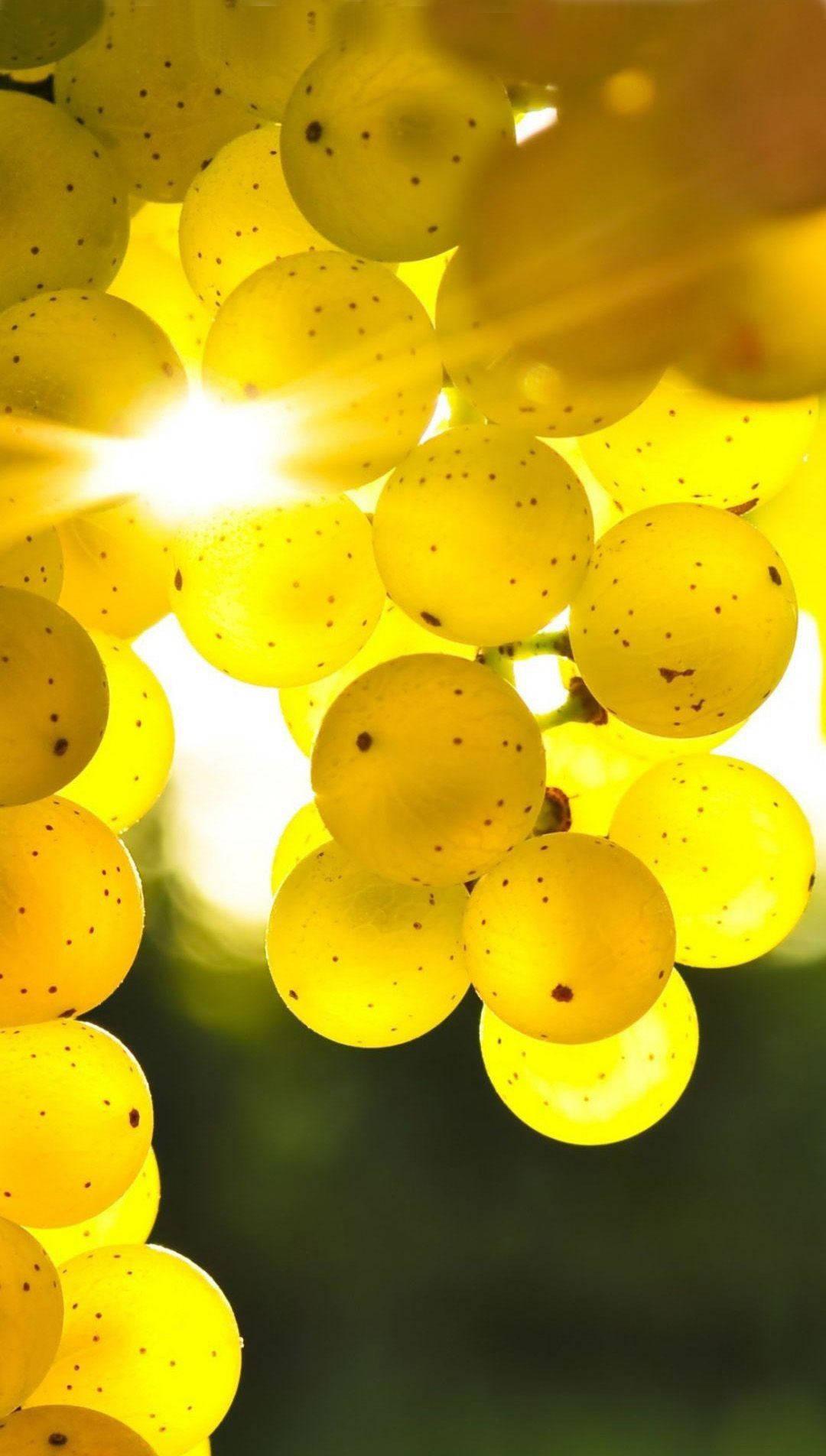 Green Grapes Pretty Phone — 1080x1904 wallpaper