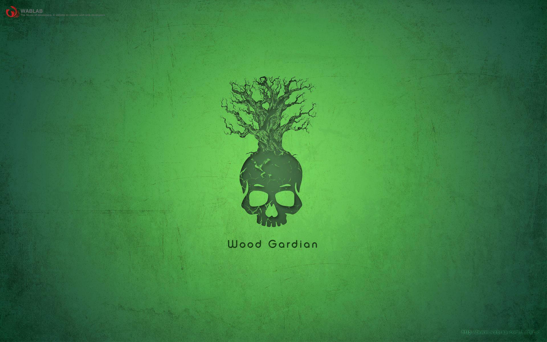 Green Hacker Skull — 1920x1200 wallpaper