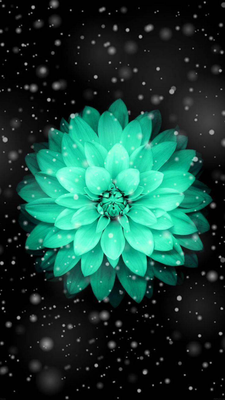 Green Lotus Pretty Phone — 736x1308 wallpaper