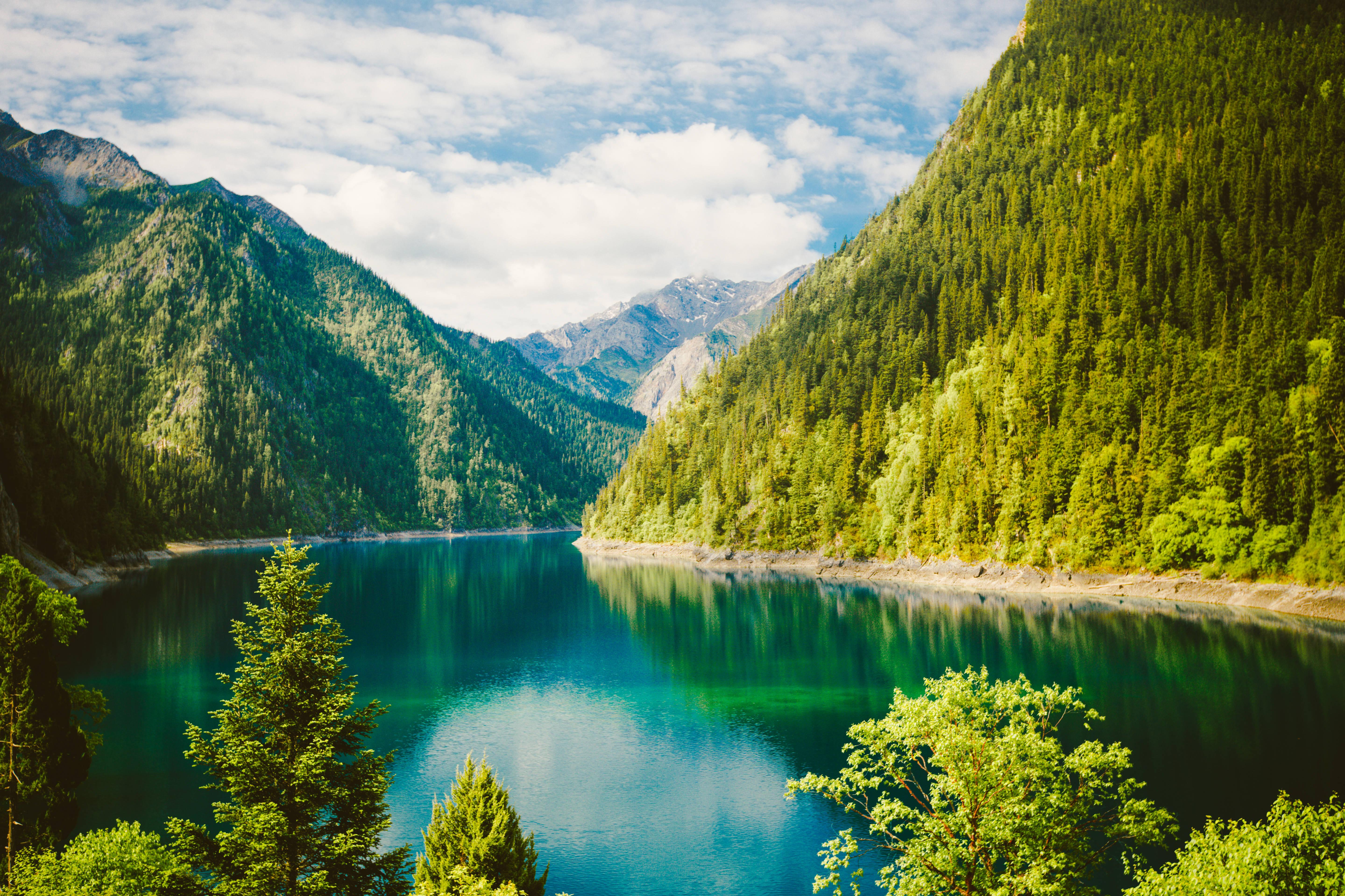 Green Nature Landscape — 5760x3840 wallpaper