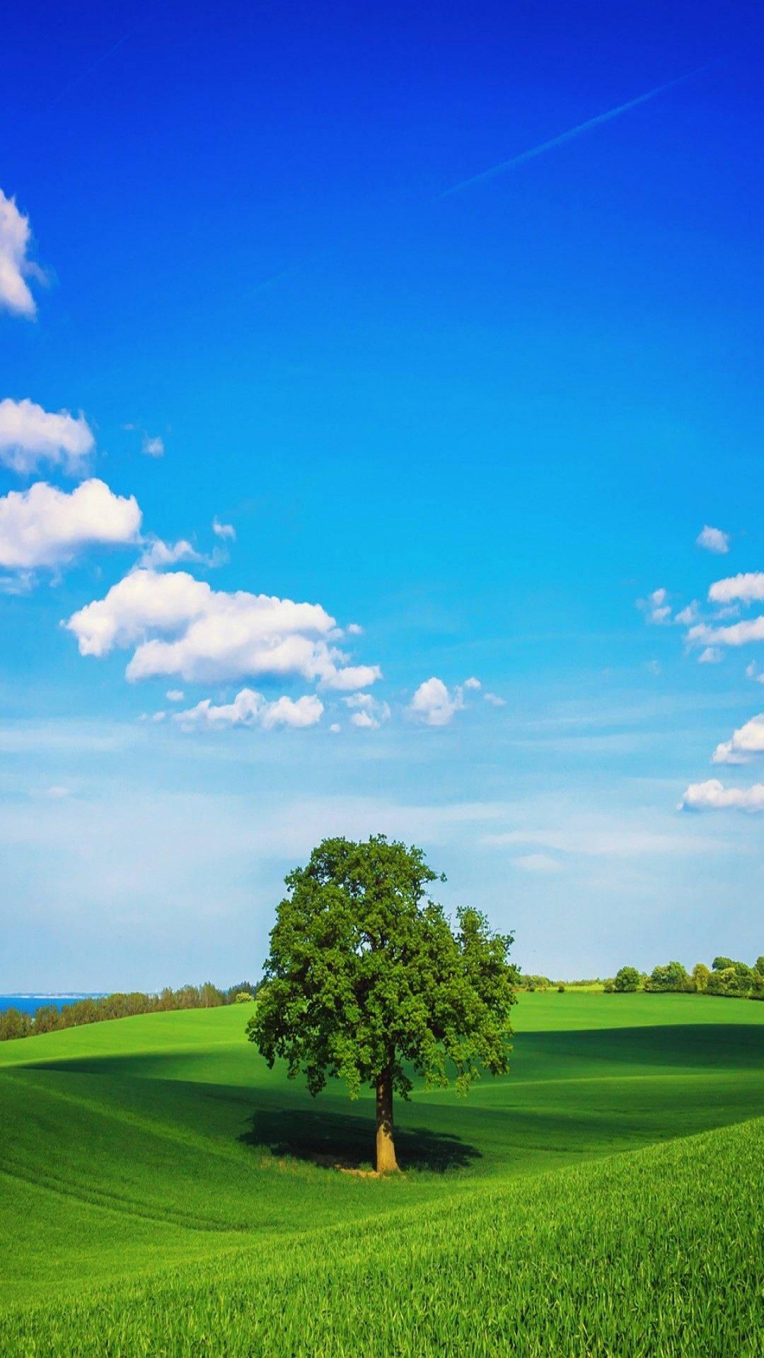 Green Tree Home Screen — 1080x1920 wallpaper