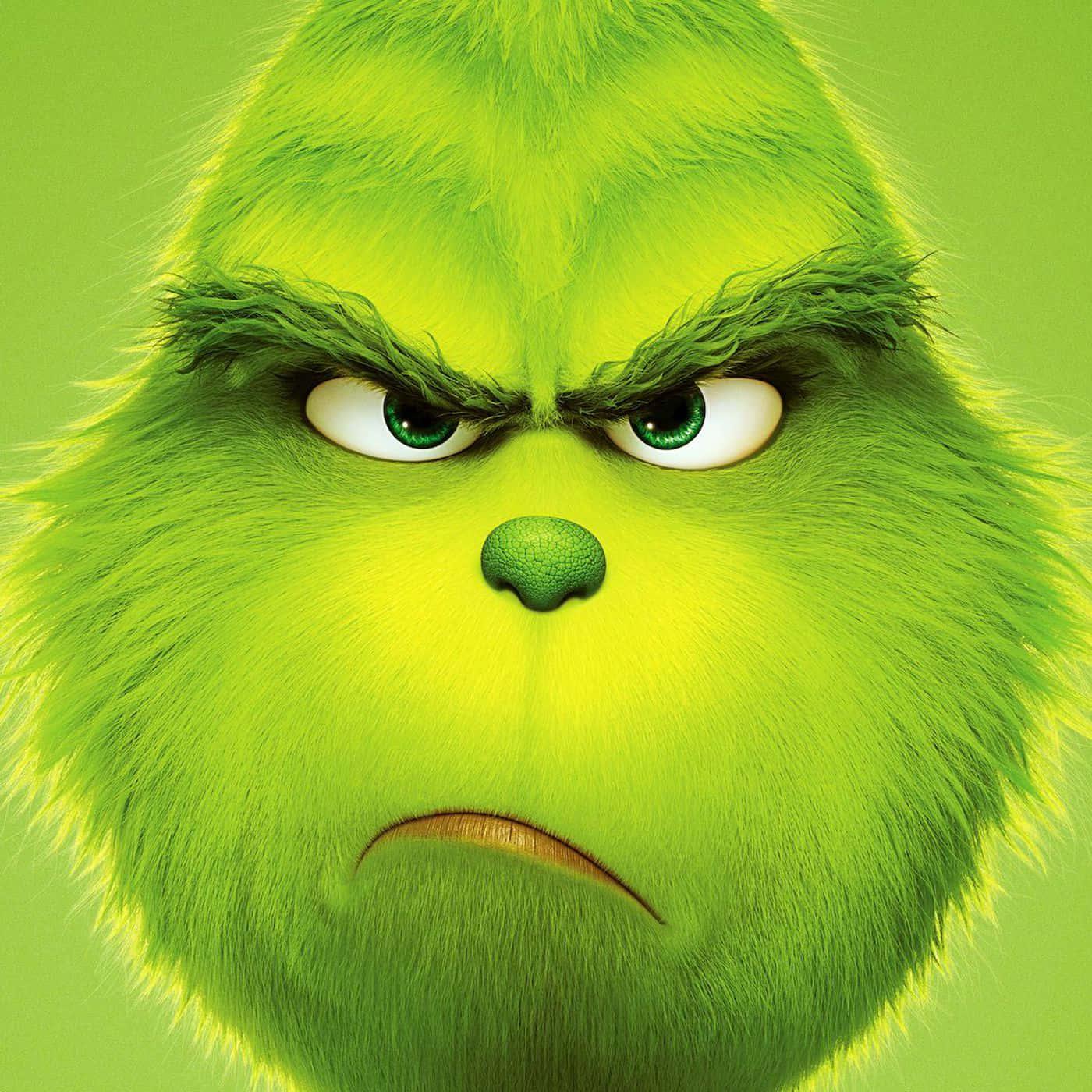 Grinch pictures — 1400x1400 wallpaper