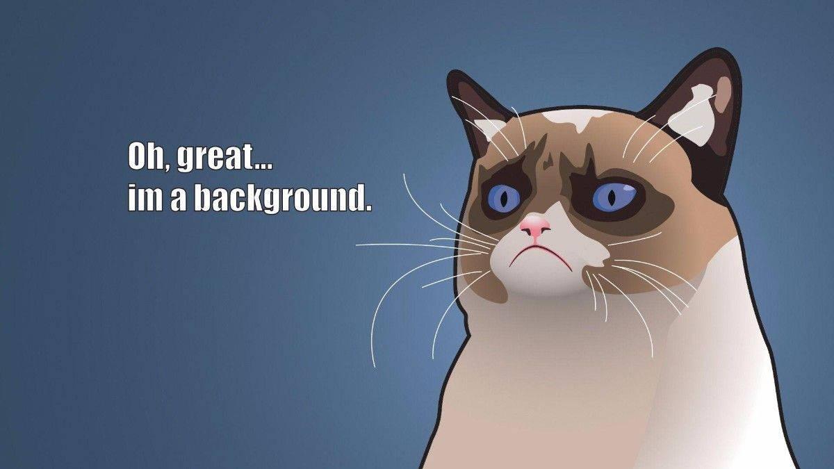 Grumpy Cat Background Funny Meme — 1200x675 wallpaper