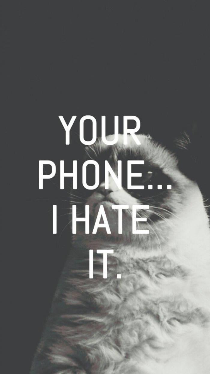 Grumpy Cat Funny Phone — 700x1244 wallpaper