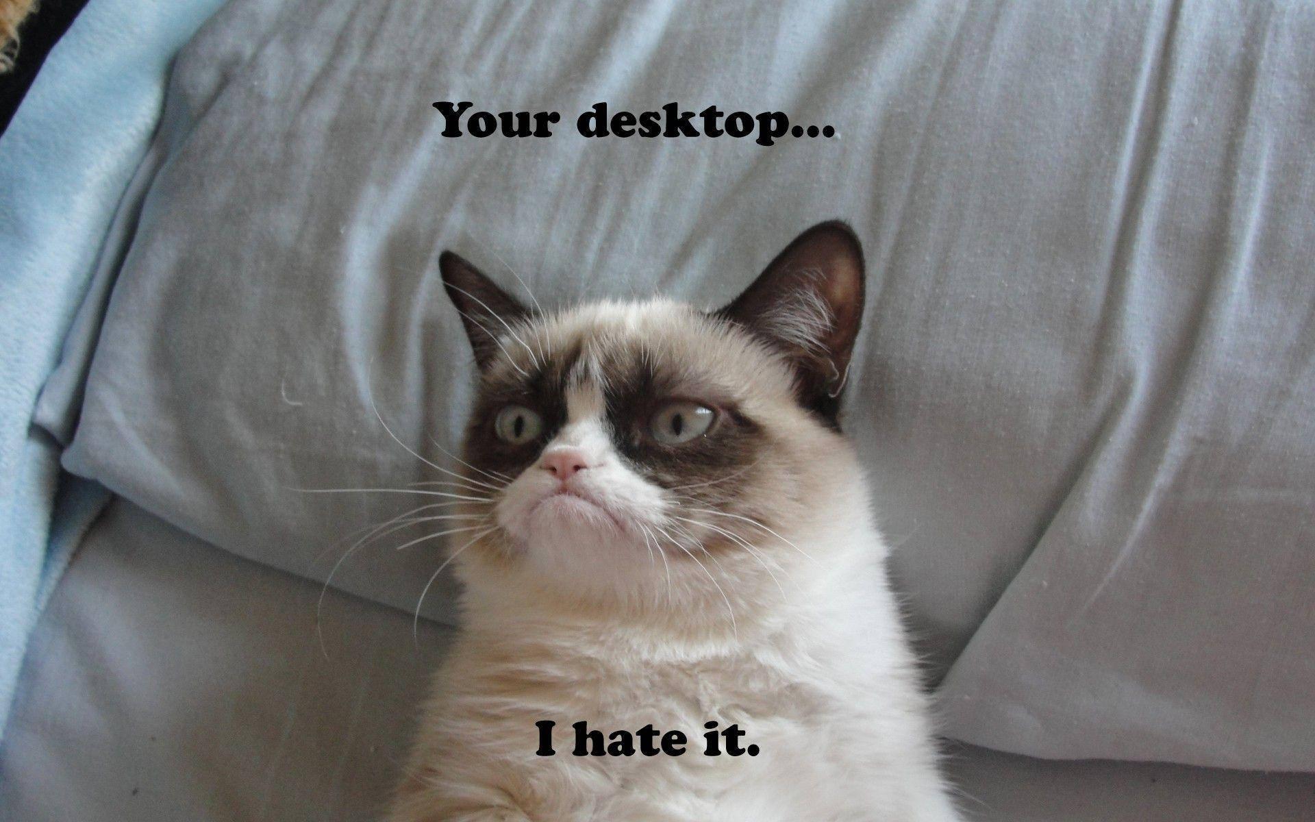 Grumpy Desktop Funny Meme — 1920x1200 wallpaper